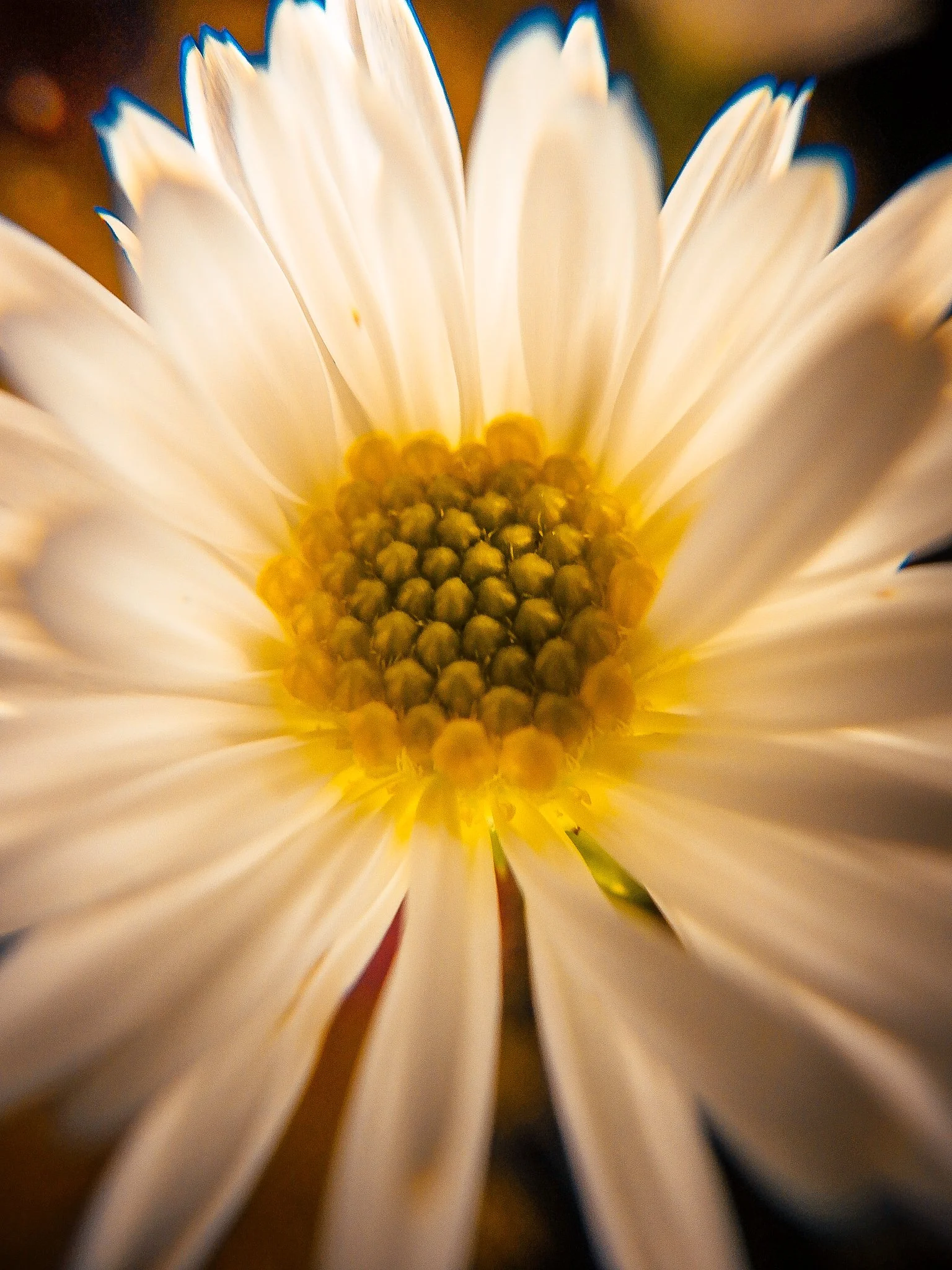 light burst