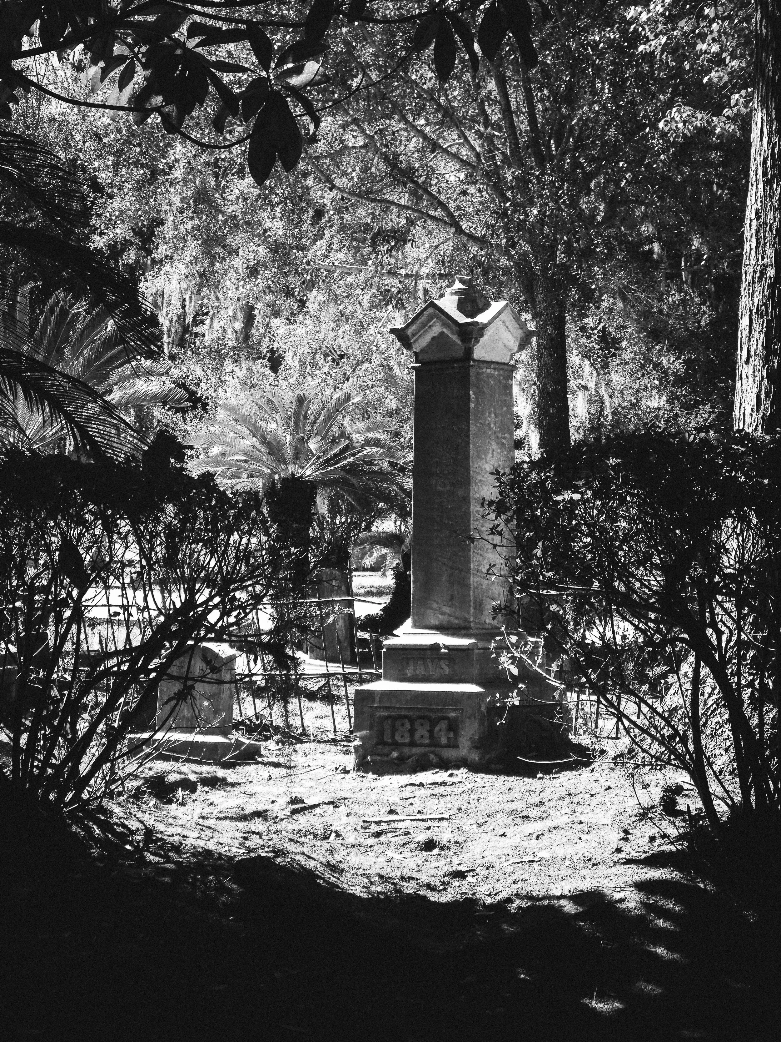 among the plants and memorials