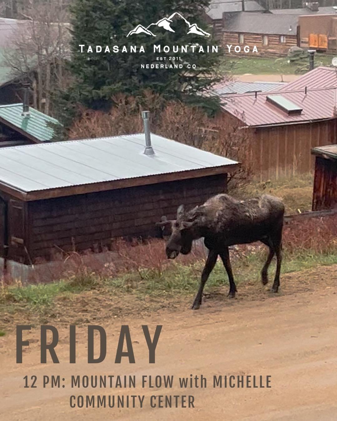 Mountain flow with Michelle is the perfect mid day break. 

A place to tune into your body and mind, and build resilience to help you move throughout everyday life. 

Every Friday! 12pm at the Community Center. See you there!