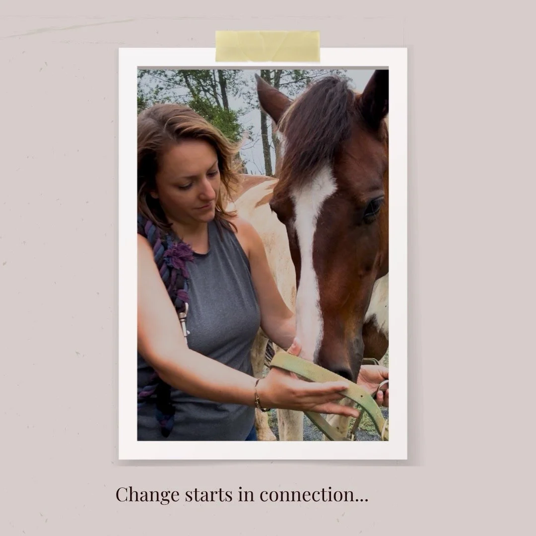 Therapy with horses isn&rsquo;t about learning skills next to them &mdash; it&rsquo;s about being in relationship with them. Horses respond to us in real time, which means we get to notice our patterns as they happen and practice new ways of connecti