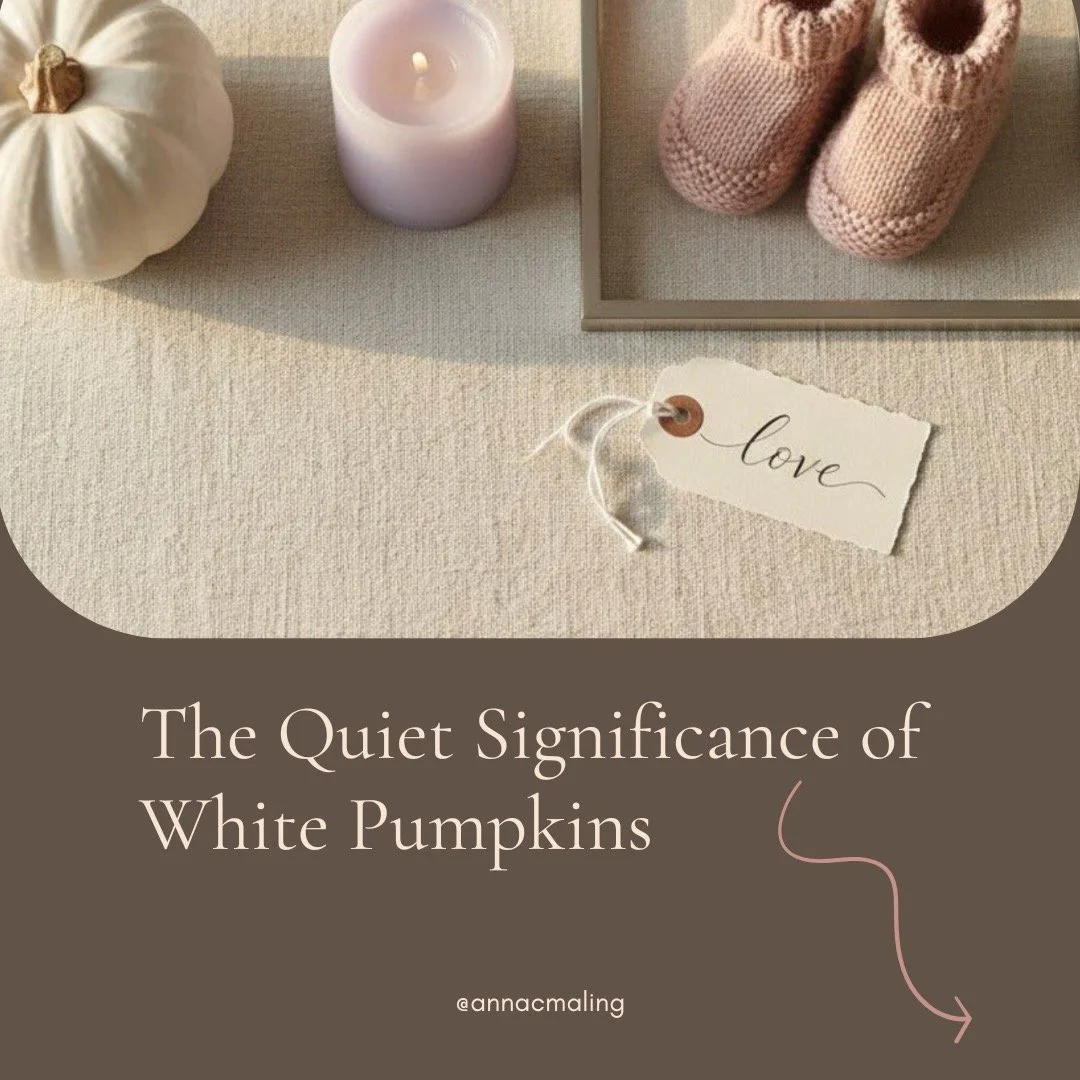 🤍 White pumpkins have become a quiet way to say: &ldquo;I remember.&rdquo;
During Pregnancy and Infant Loss Awareness Month, these simple symbols offer comfort to families grieving a baby who isn&rsquo;t in their arms &mdash; a way to be seen withou
