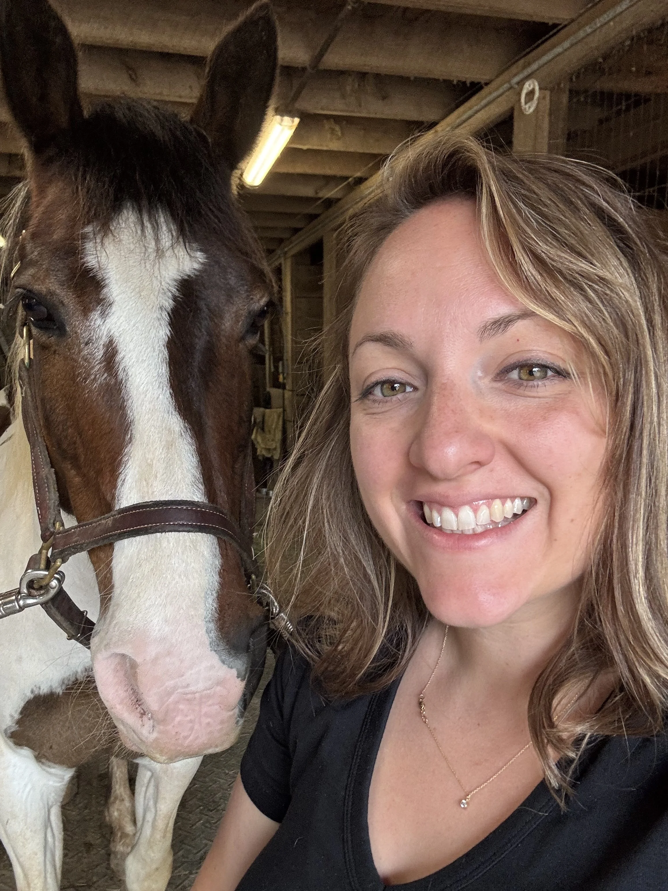 equine therapist with therapy horse