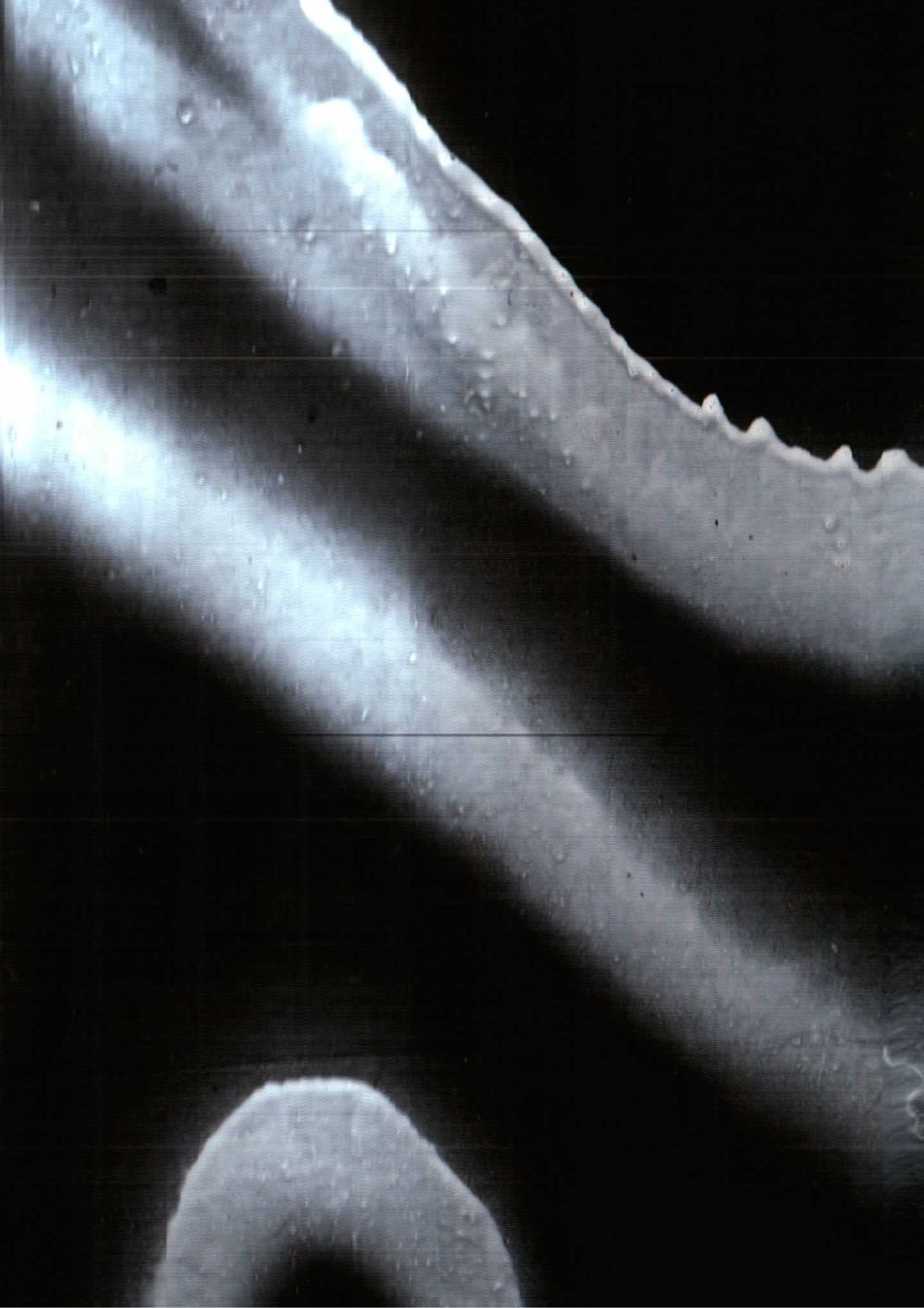 141.jpg