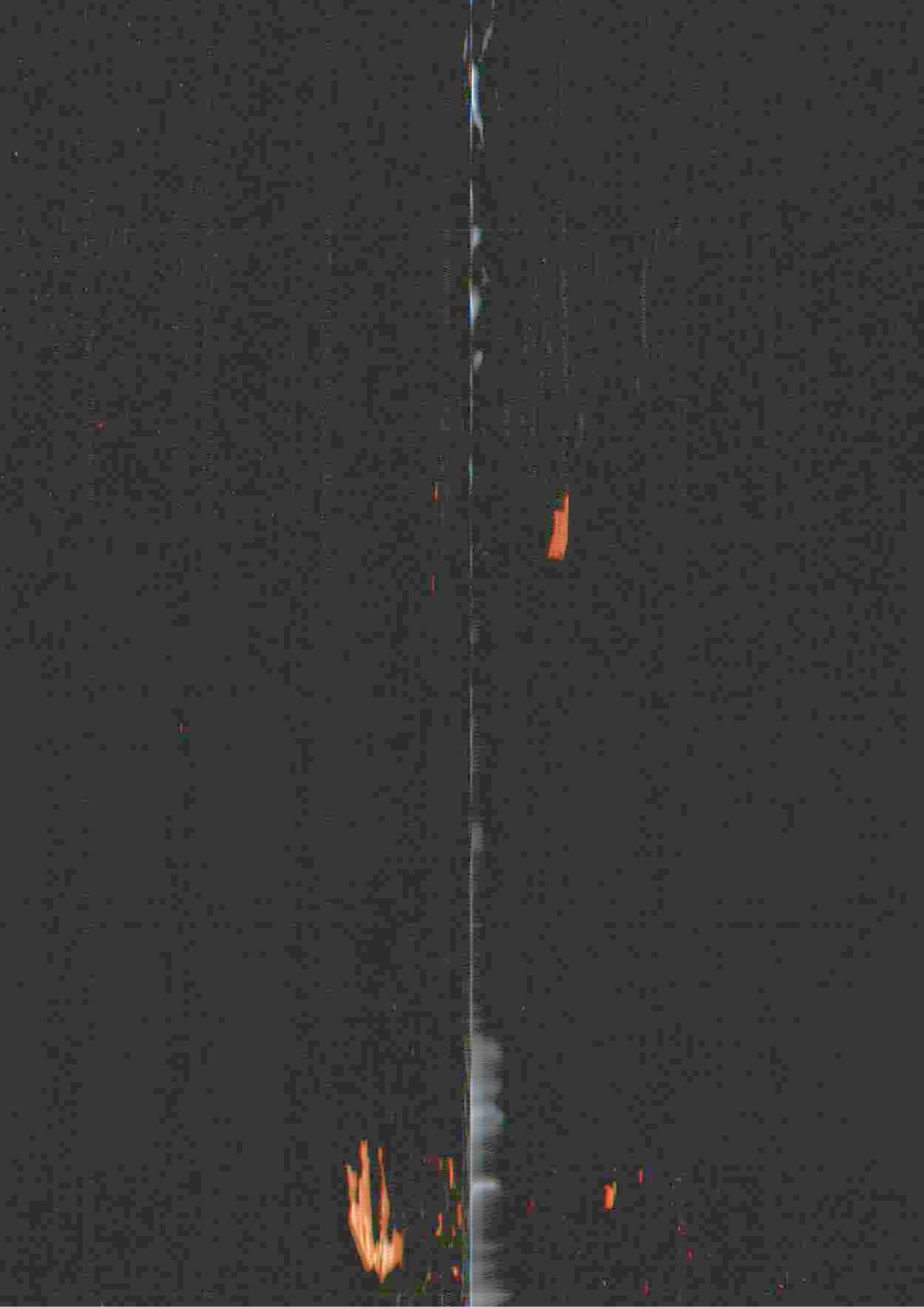 154.jpg