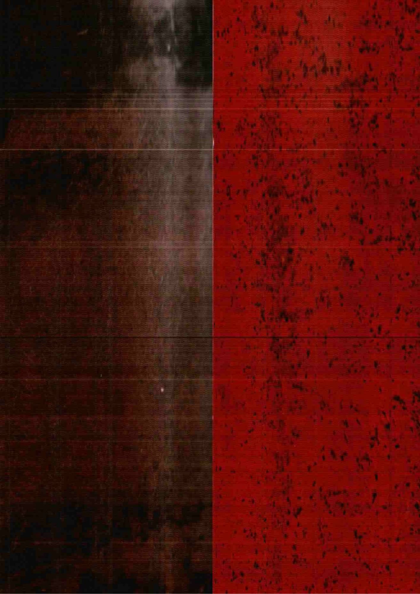 142.jpg