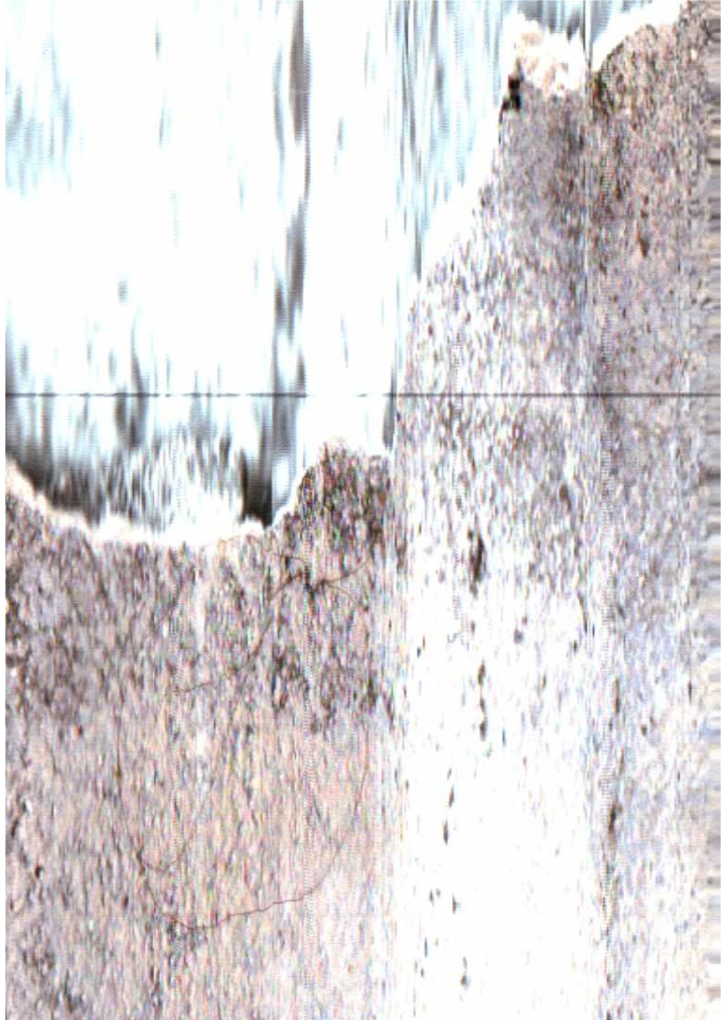 167.jpg