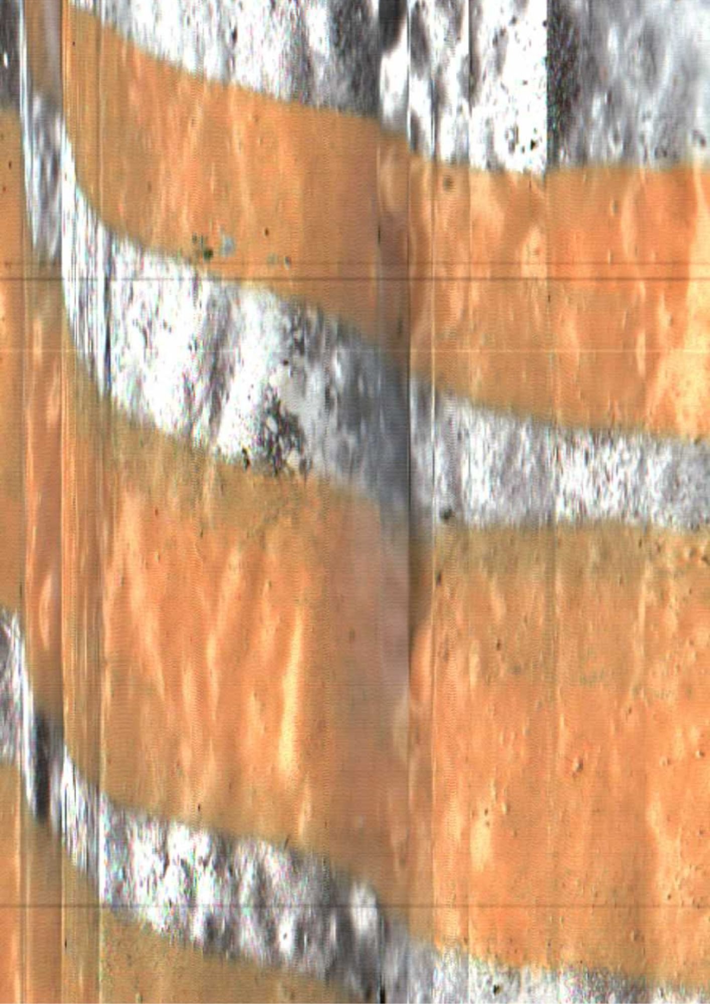 220.jpg