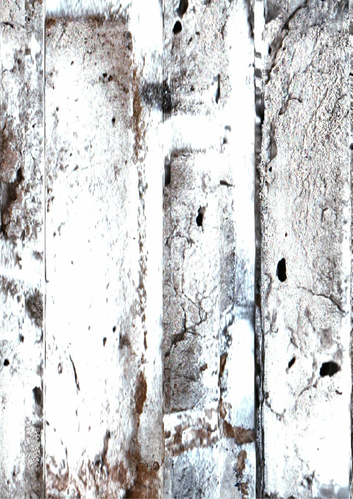 106.jpg