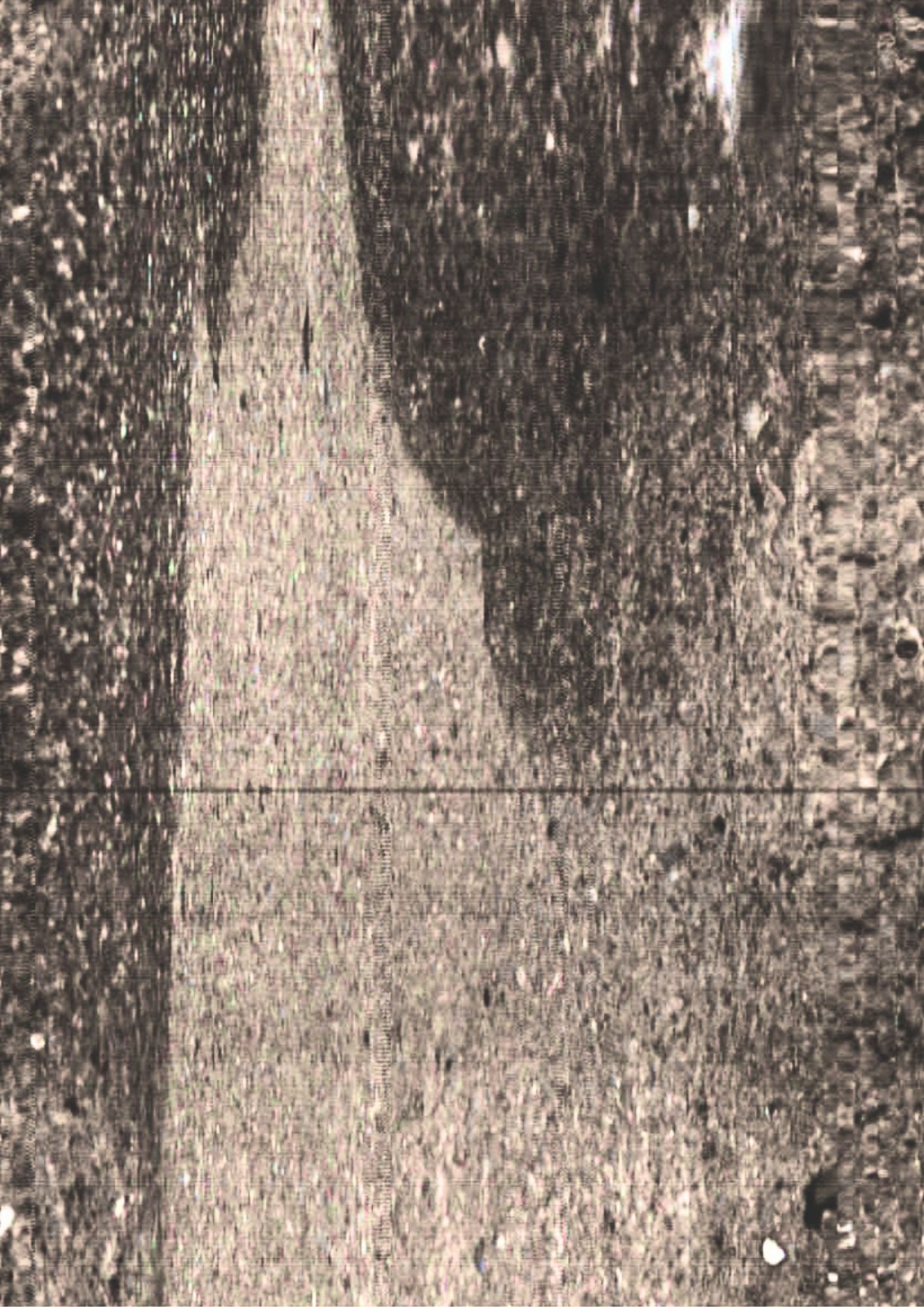 163.jpg