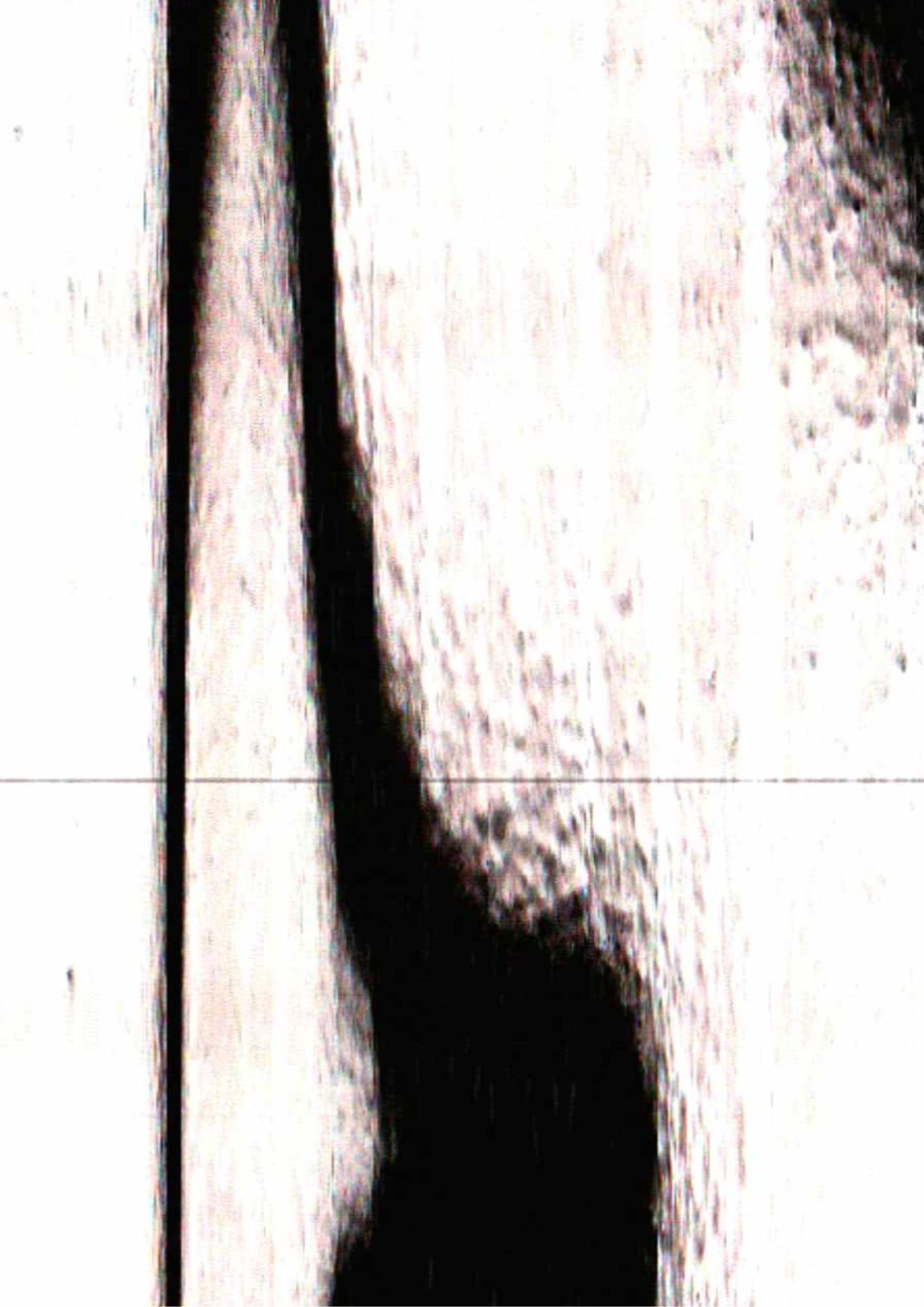 168.jpg