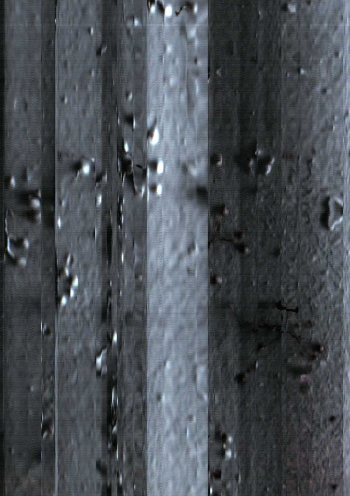 91.jpg