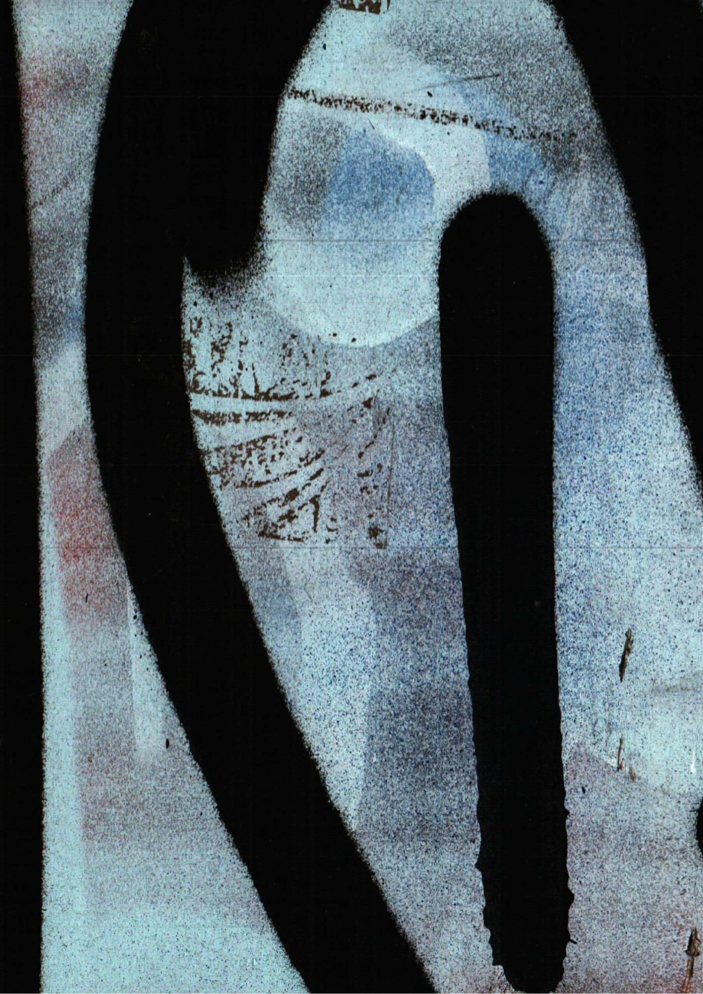 231.jpg