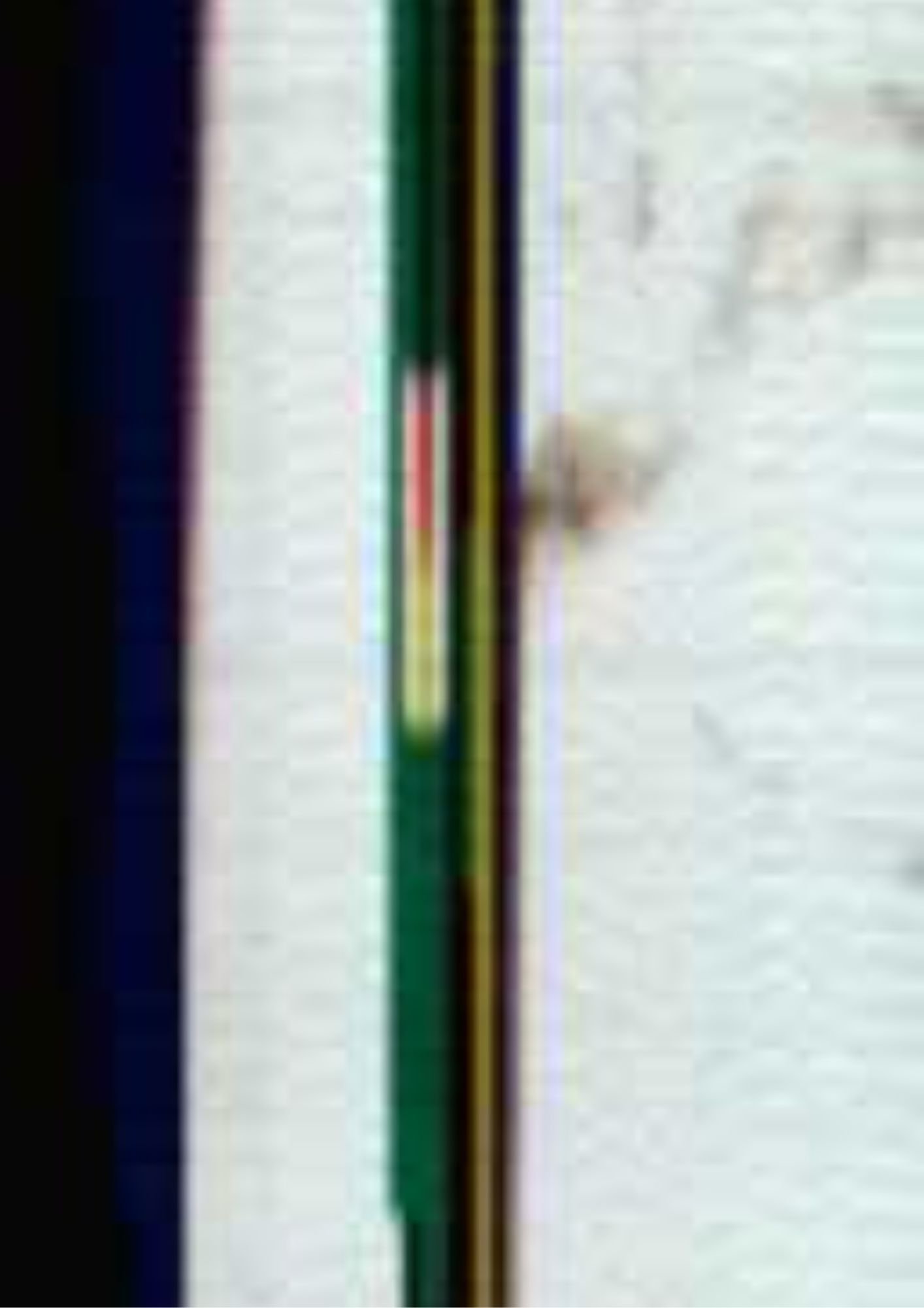 187.jpg