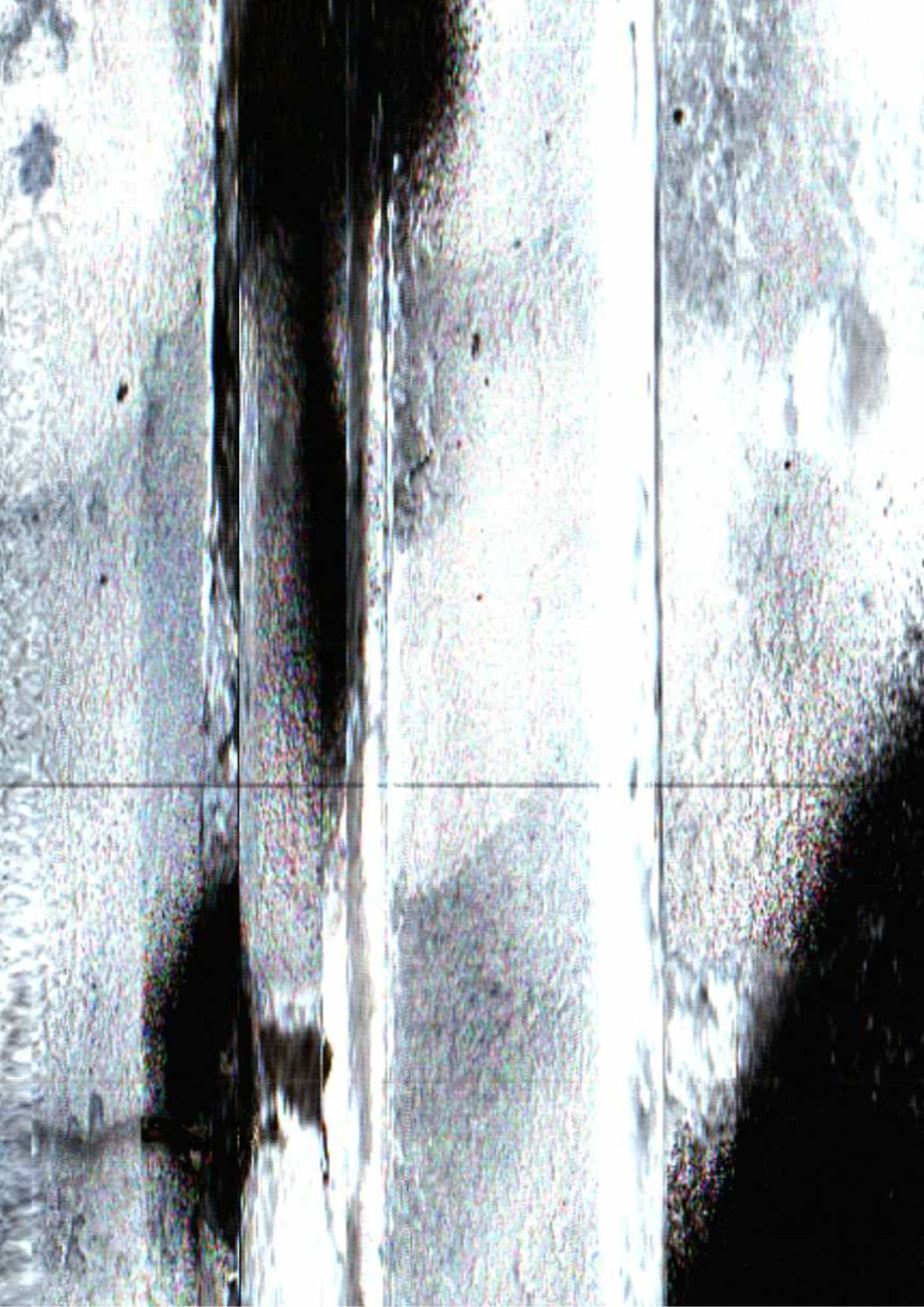 179.jpg