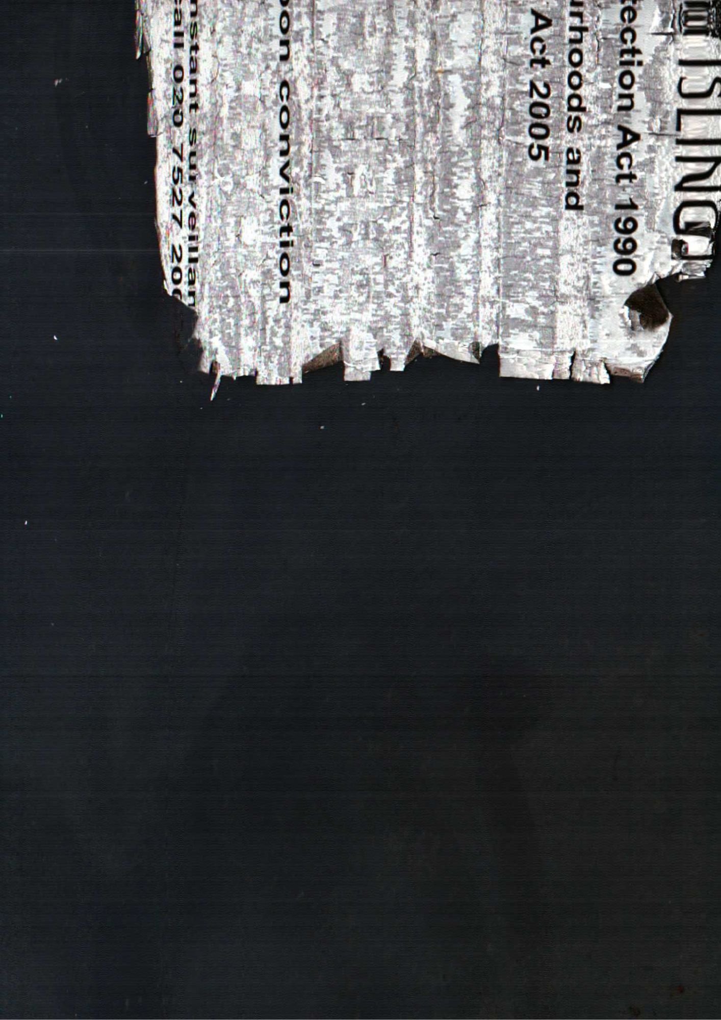 196.jpg