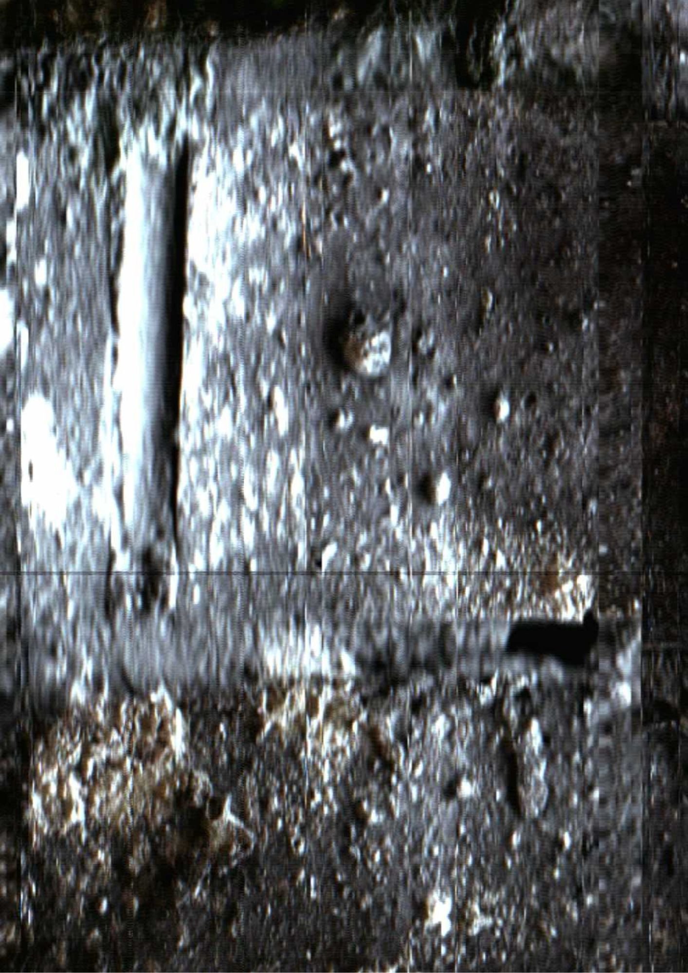 134.jpg