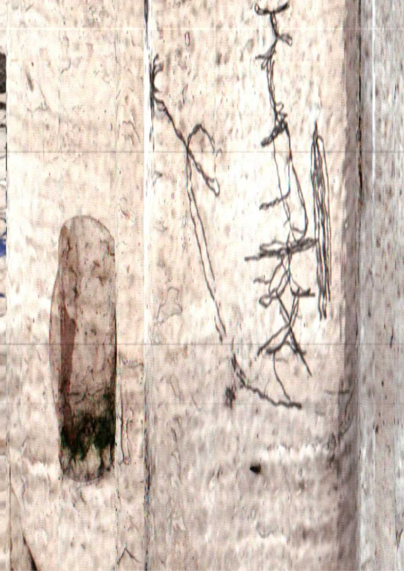 203.jpg