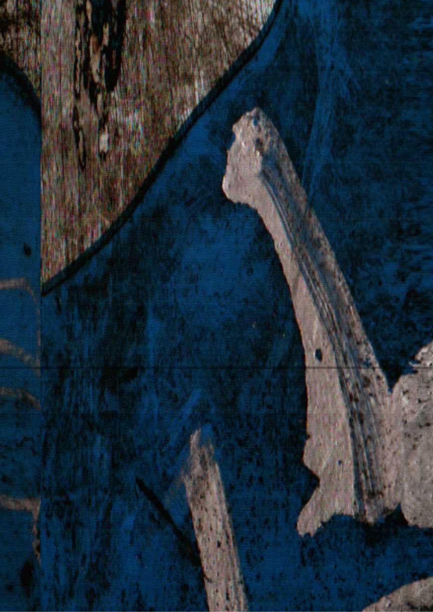 166.jpg