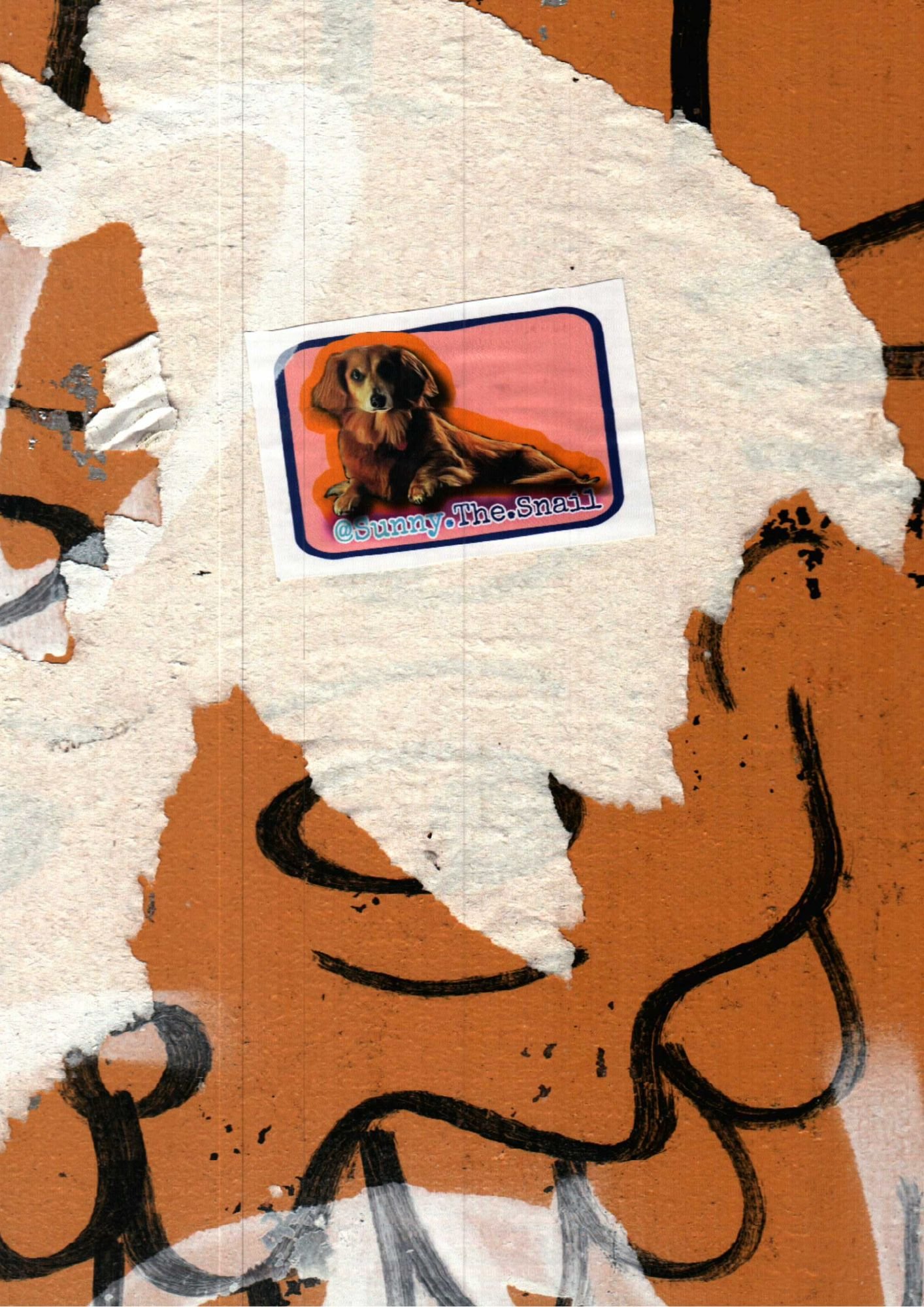 66.jpg