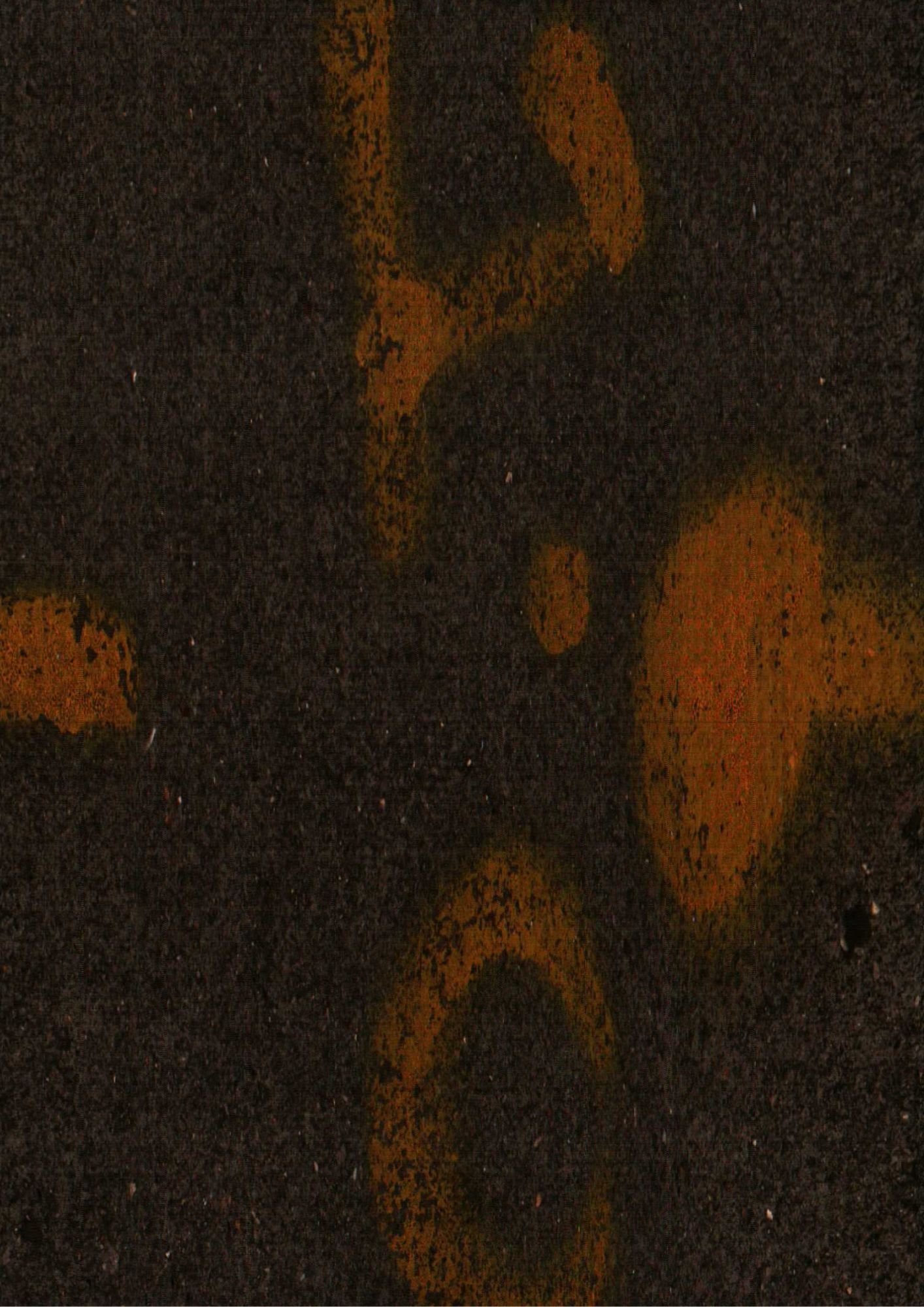 197.jpg