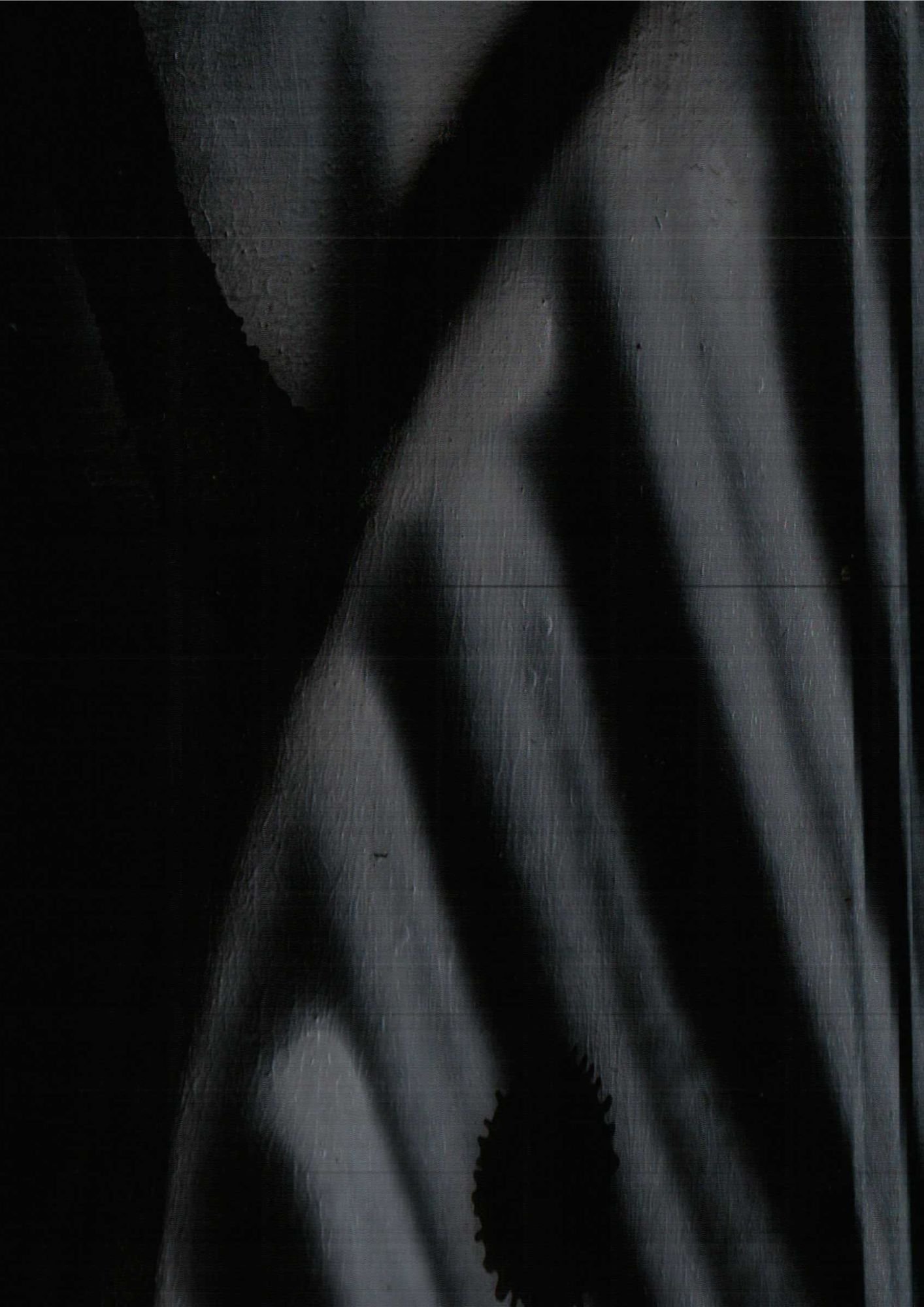 190.jpg