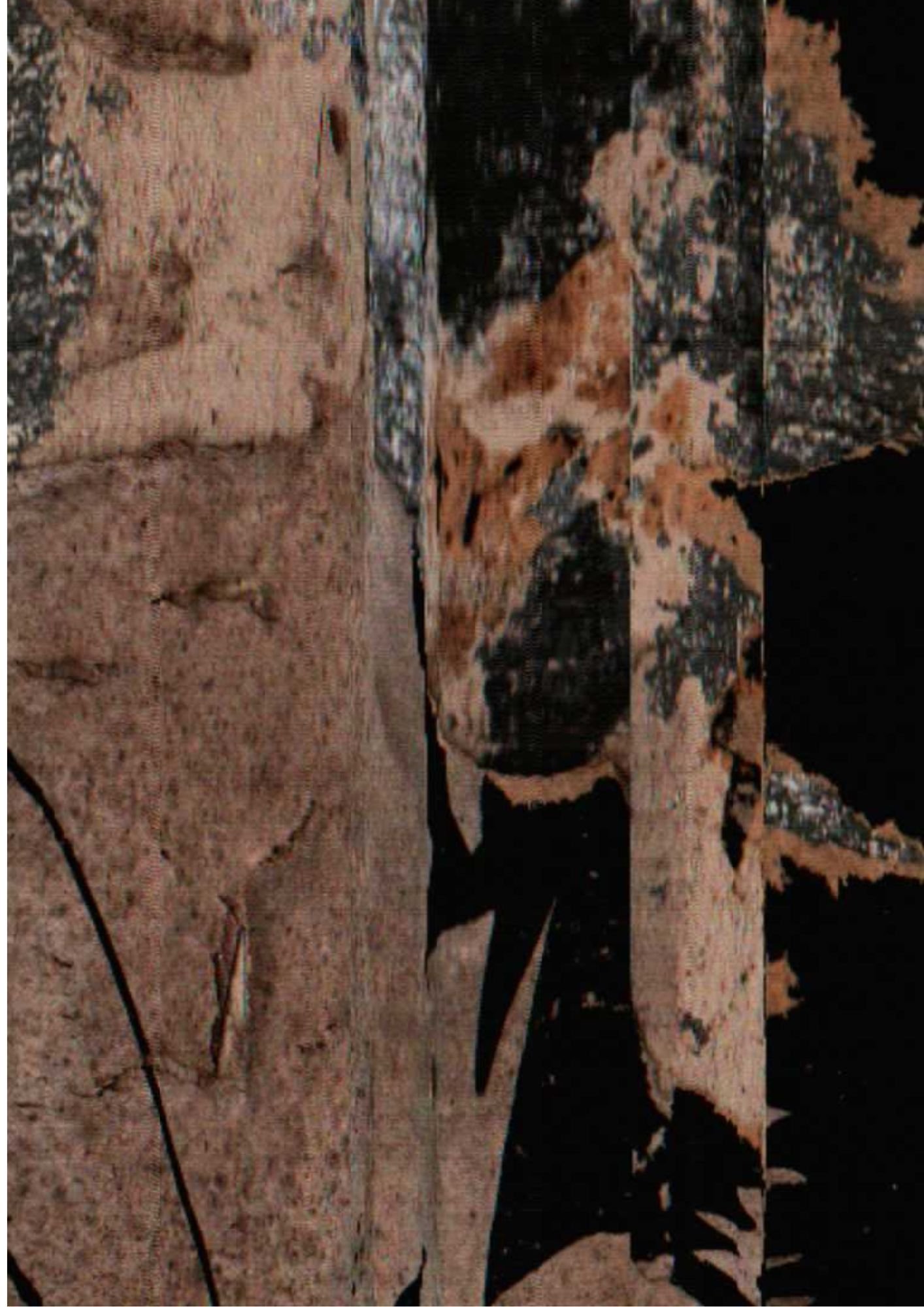 156.jpg