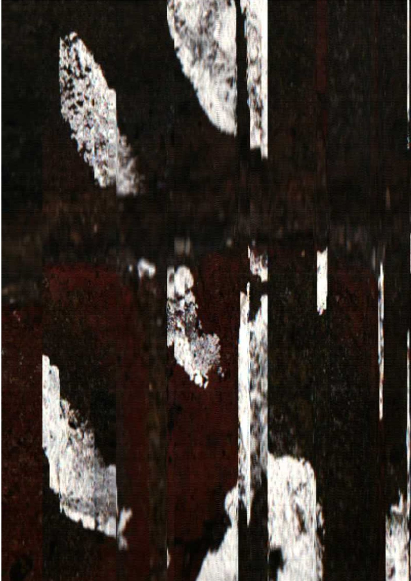 273.jpg