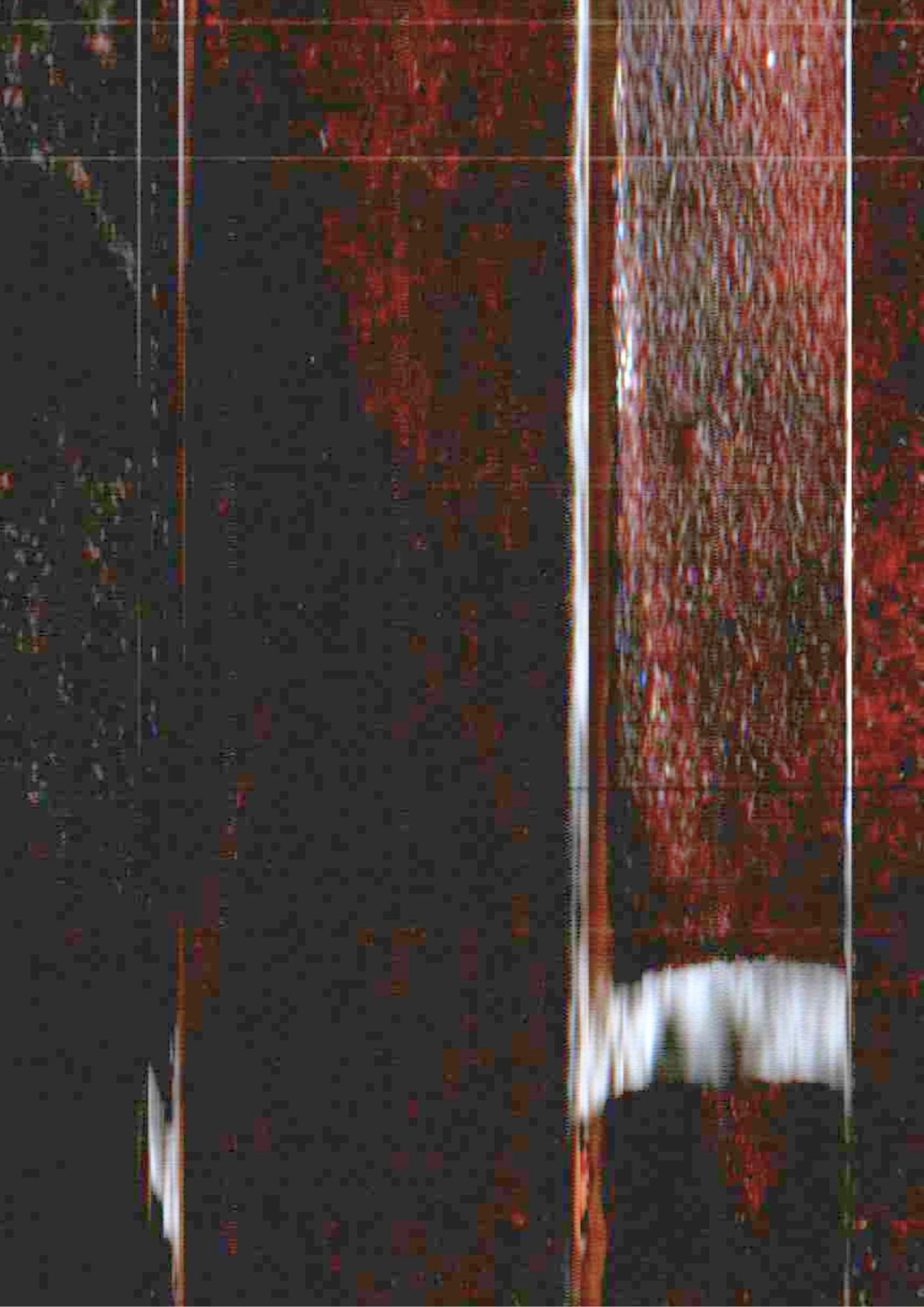 146.jpg