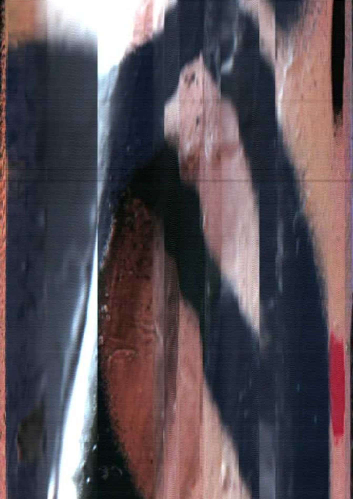 241.jpg