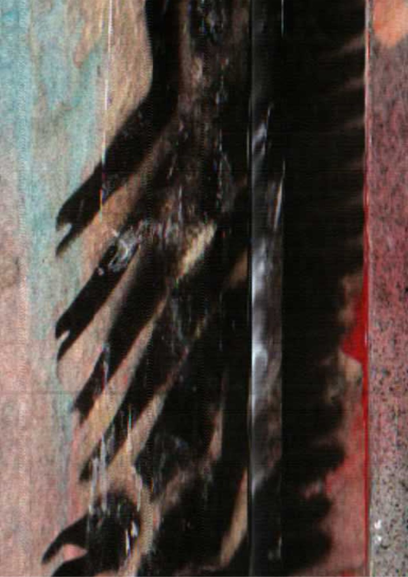234.jpg