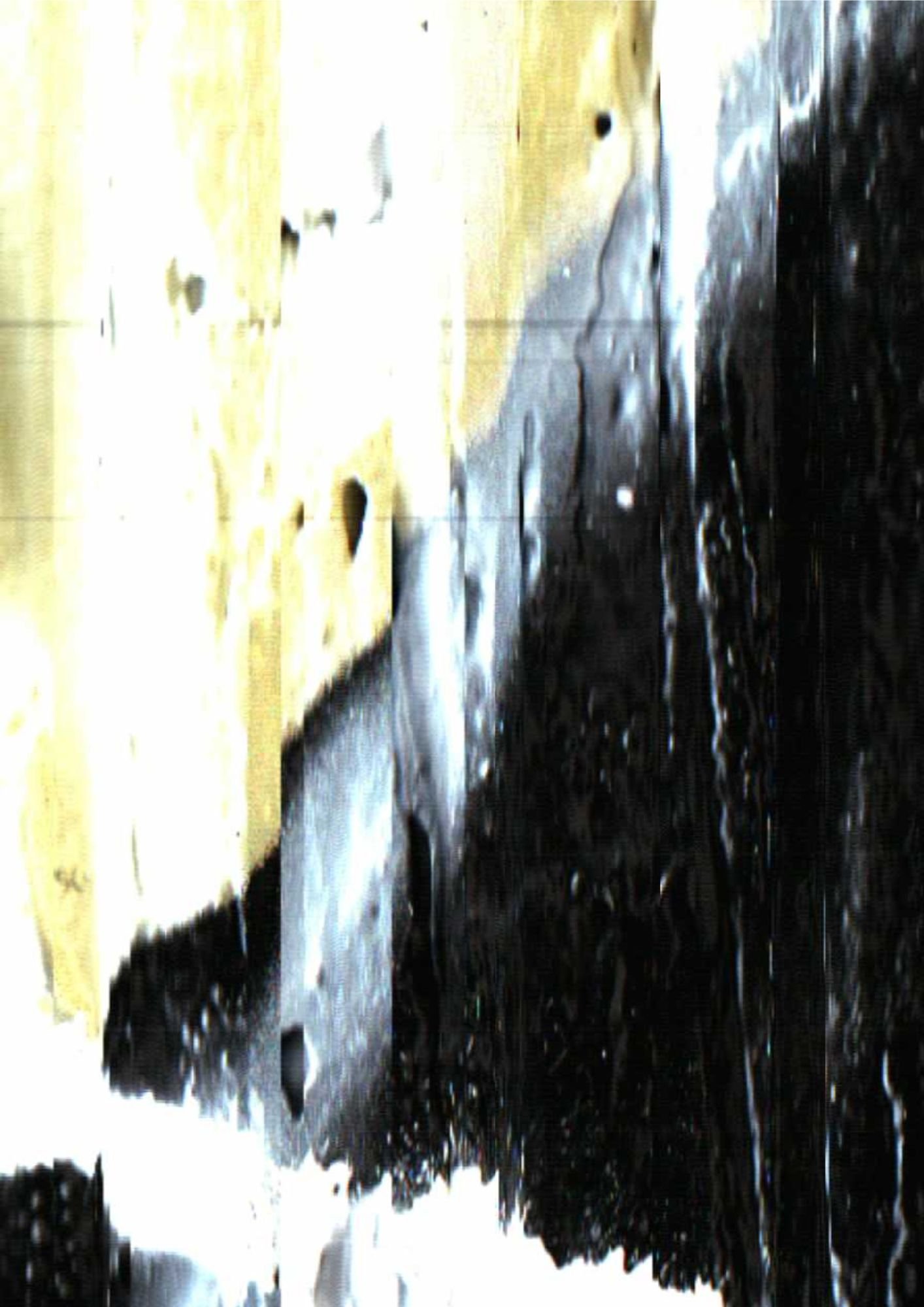 239.jpg