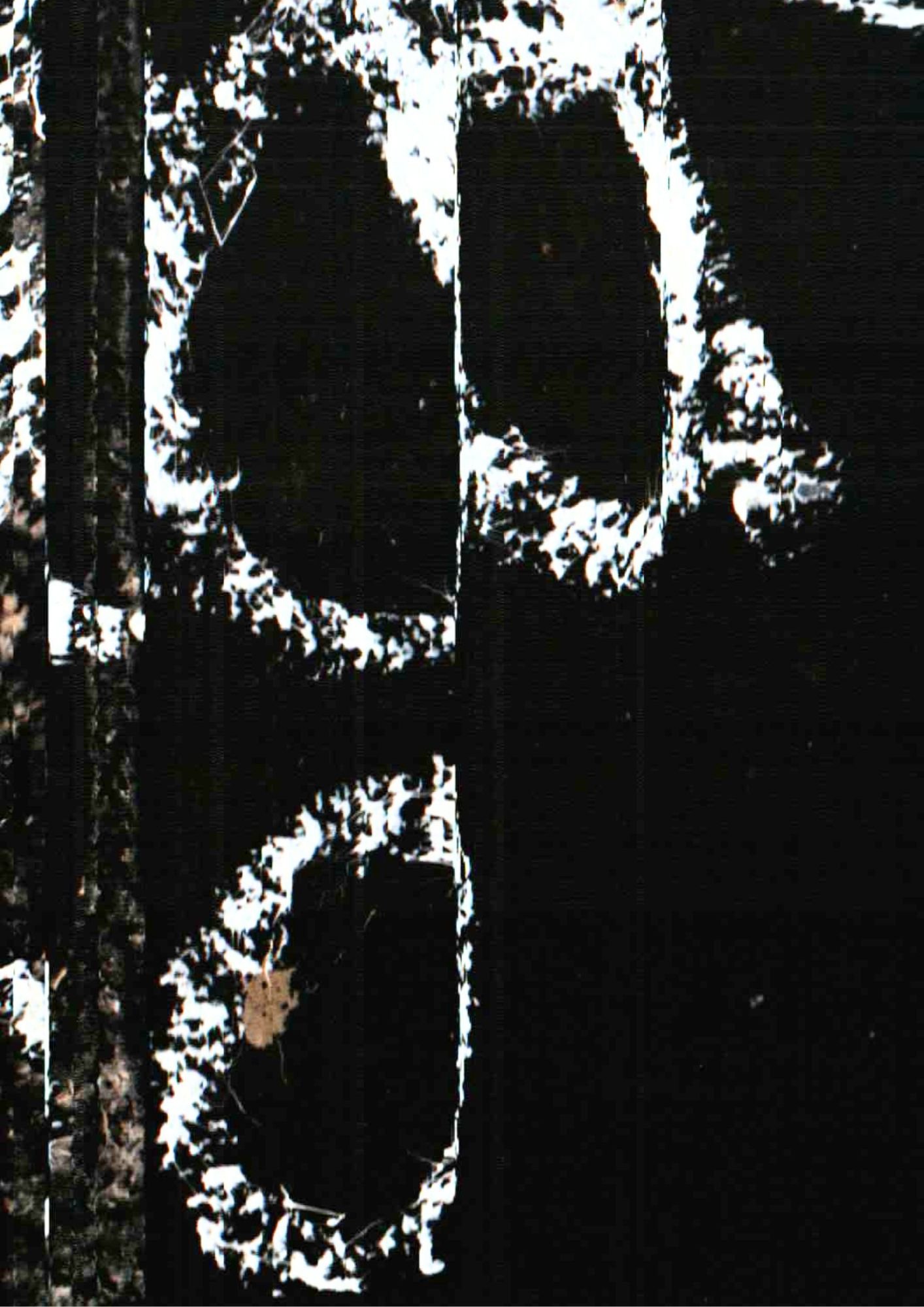 76.jpg