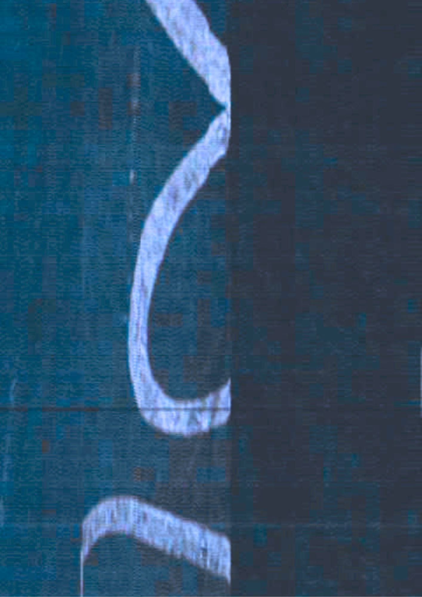 147.jpg