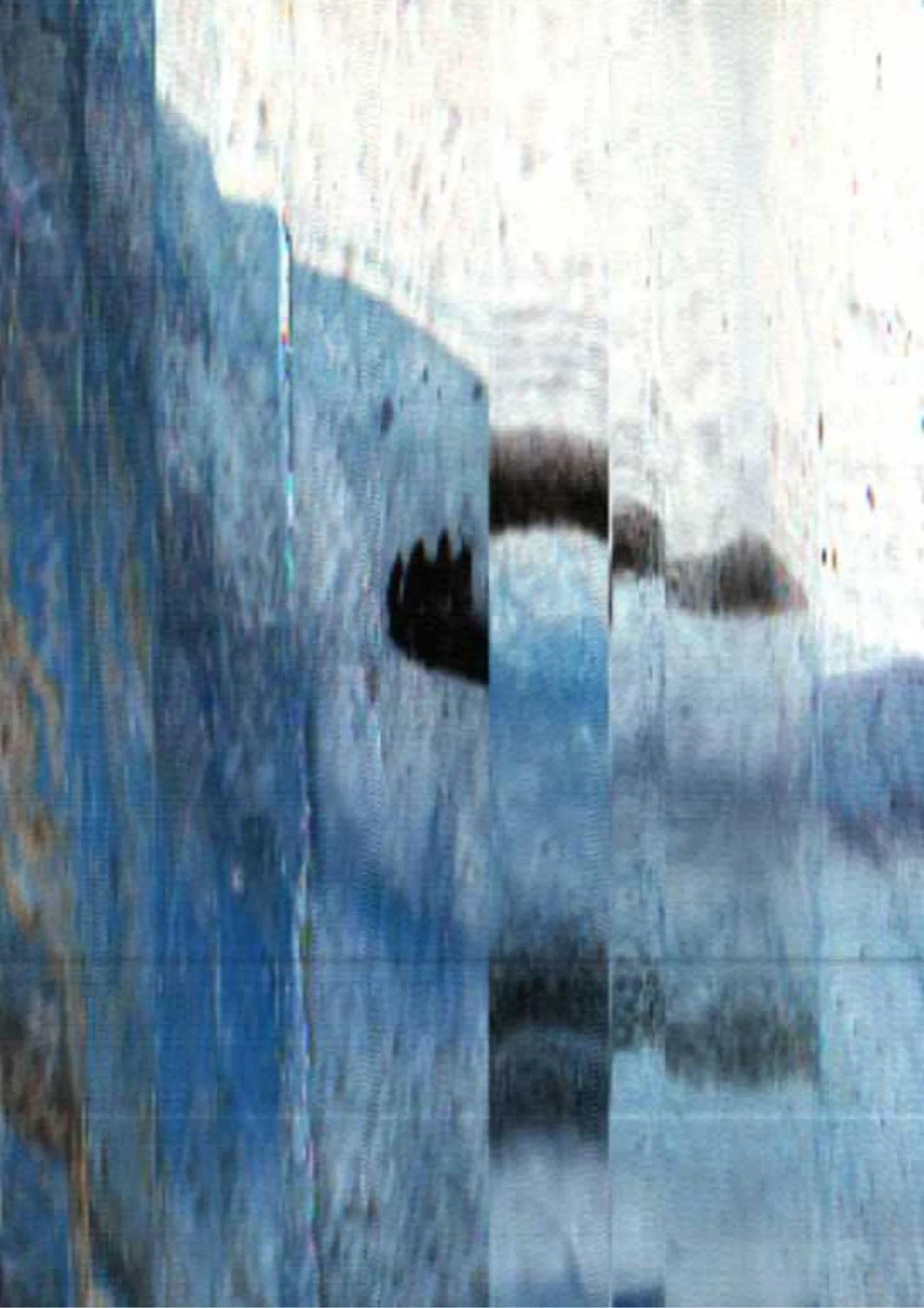 193.jpg