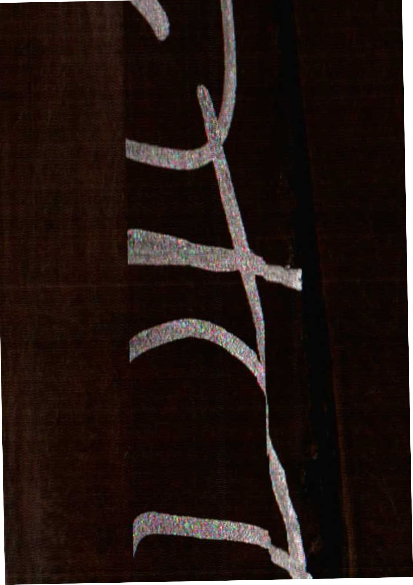 148.jpg