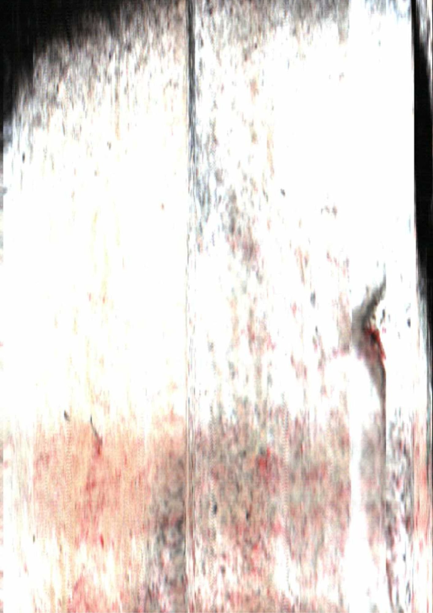 43.jpg