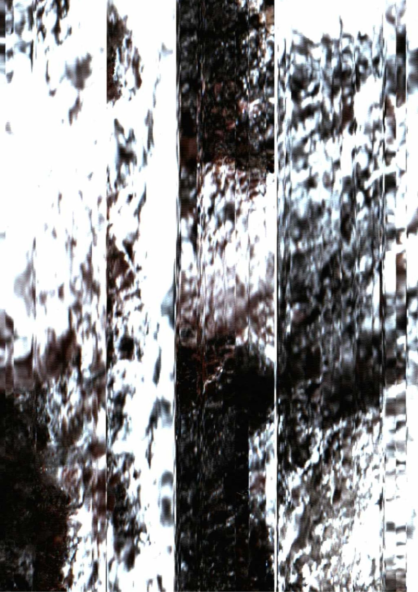 111.jpg