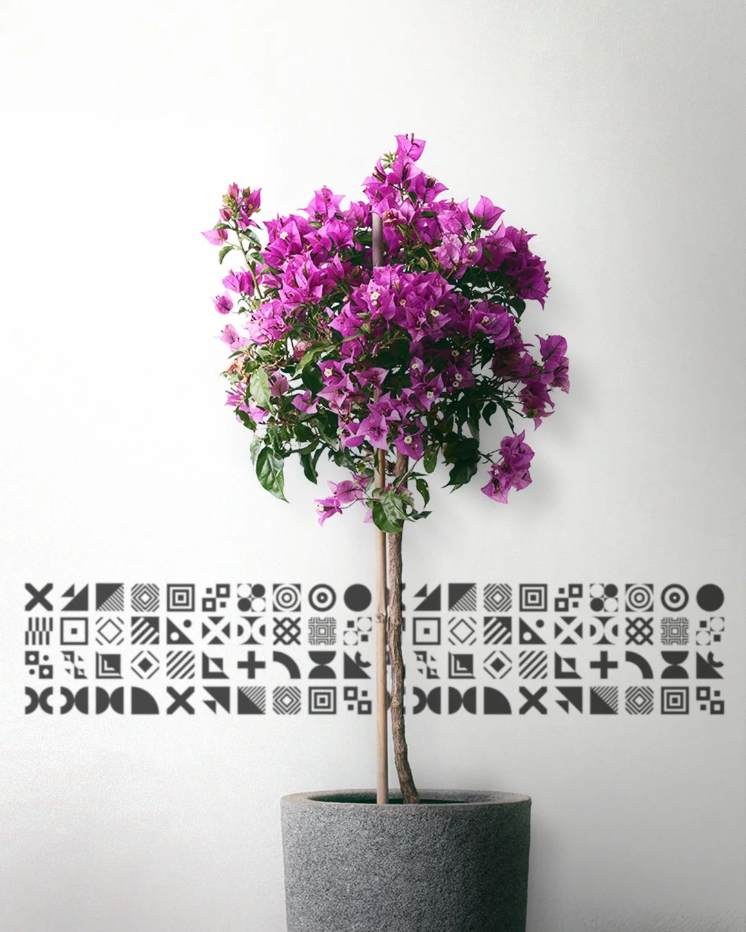 My_Garden_Products_02_A.jpg