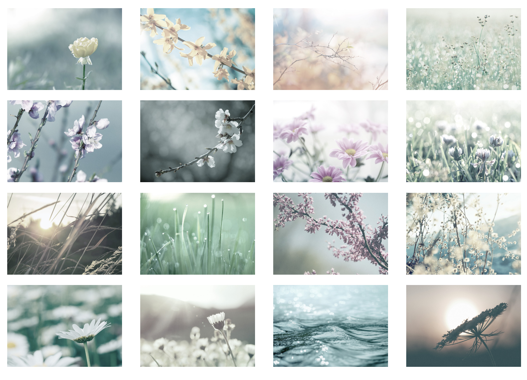 Screenshot 2026-01-23 at 11.35.22 AM.png