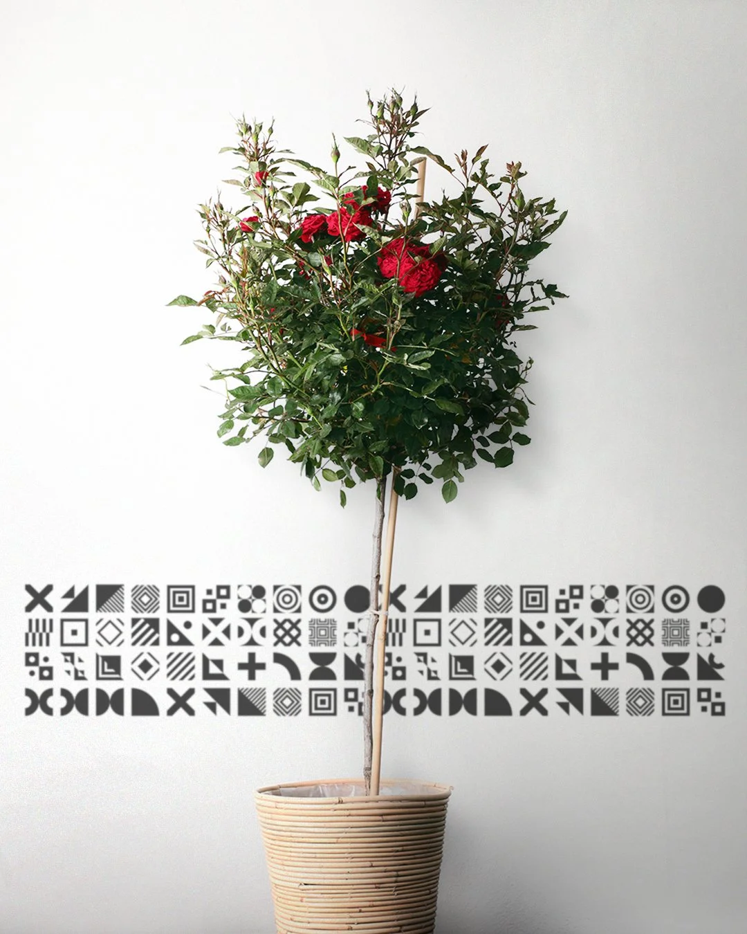 My_Garden_Products_02_B.jpg
