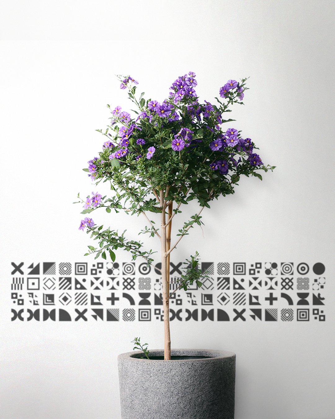My_Garden_Products_02_C.jpg
