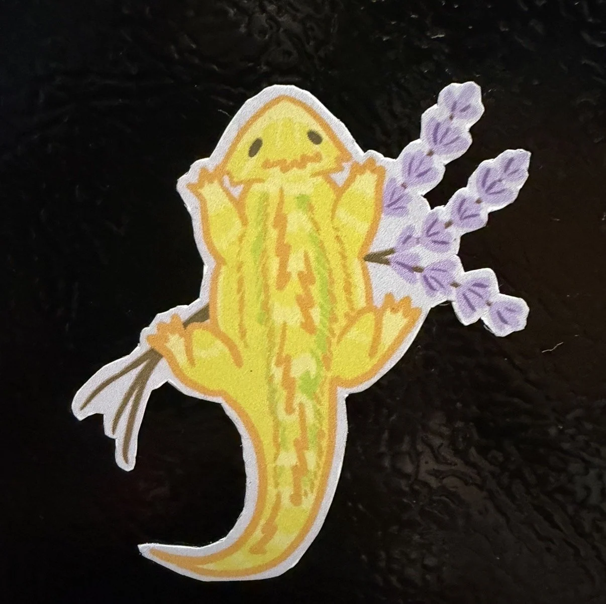 BeardedDragon.jpg
