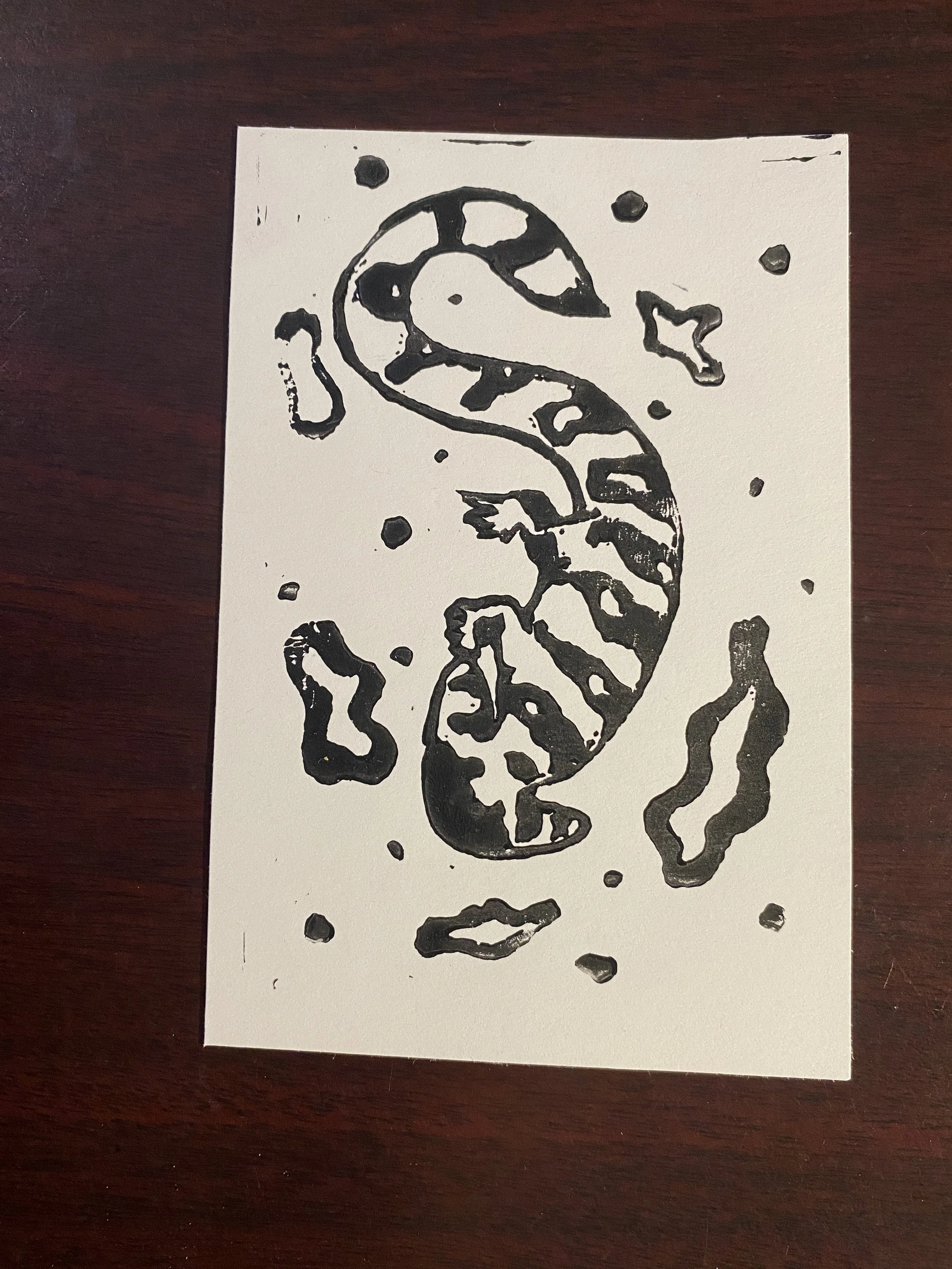 DIPLOCAULUS PRINT