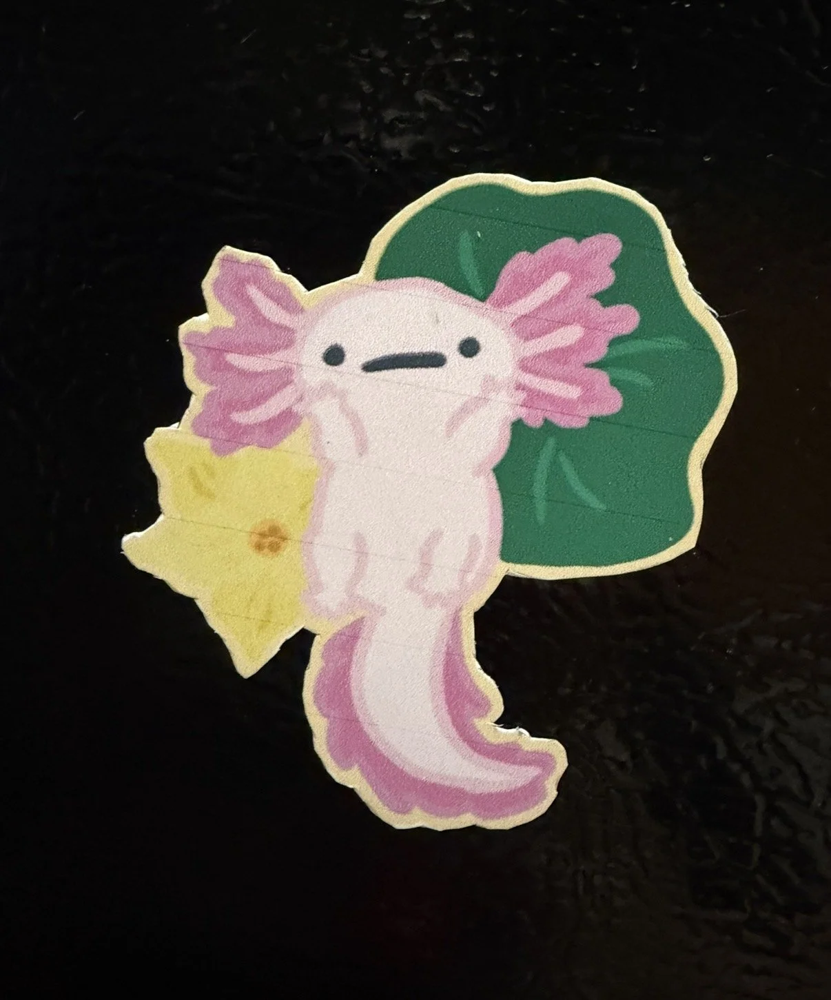 AxolotlMagnet.jpg