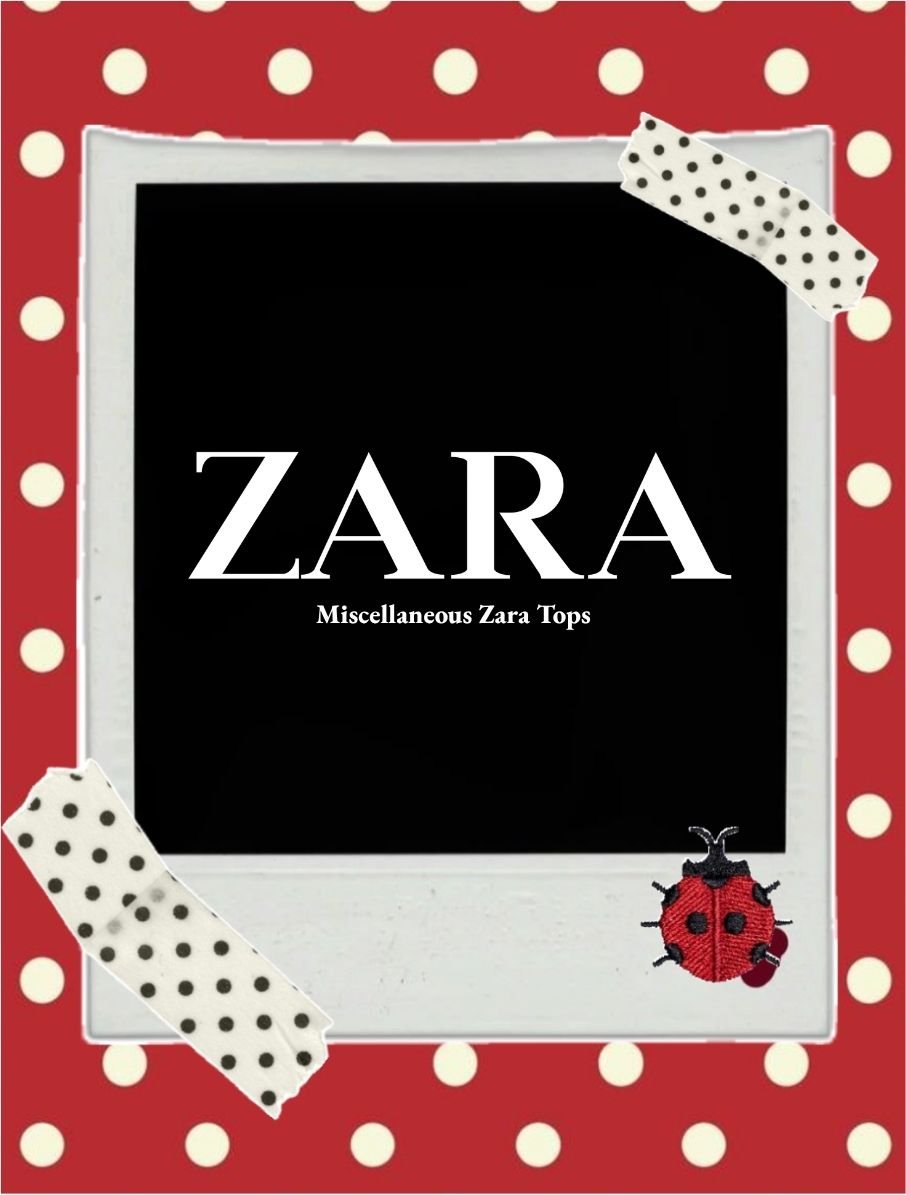Miscellaneous zara tops.jpg