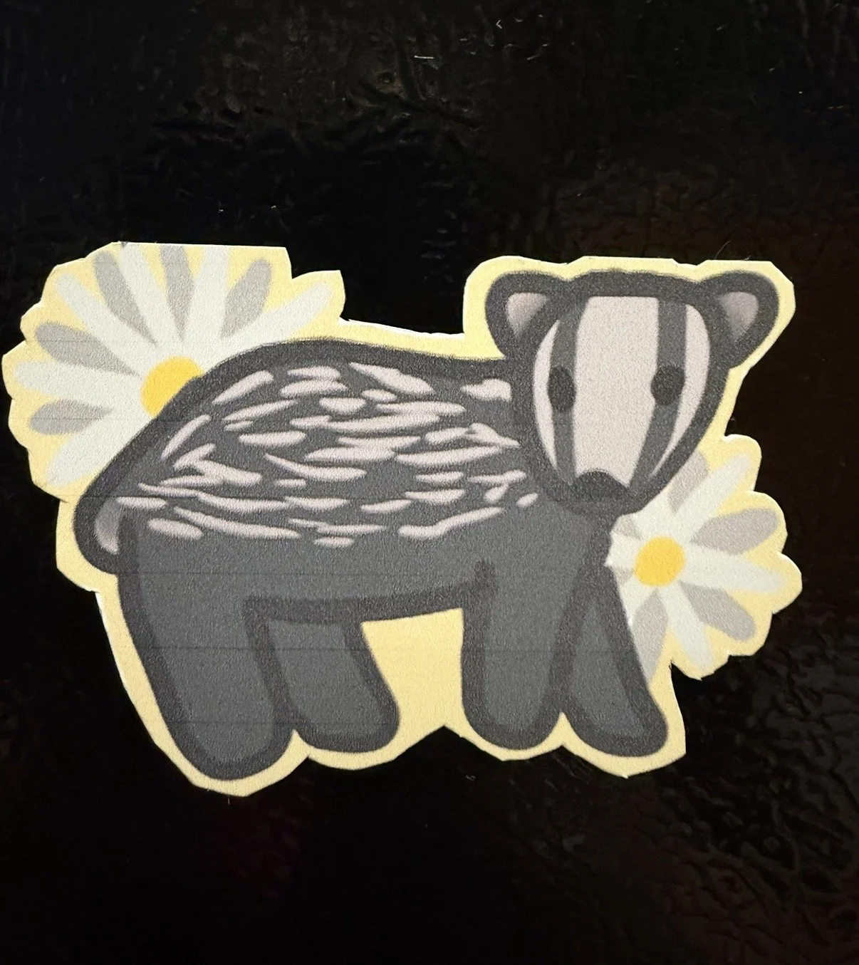 BadgerMagnet.jpg