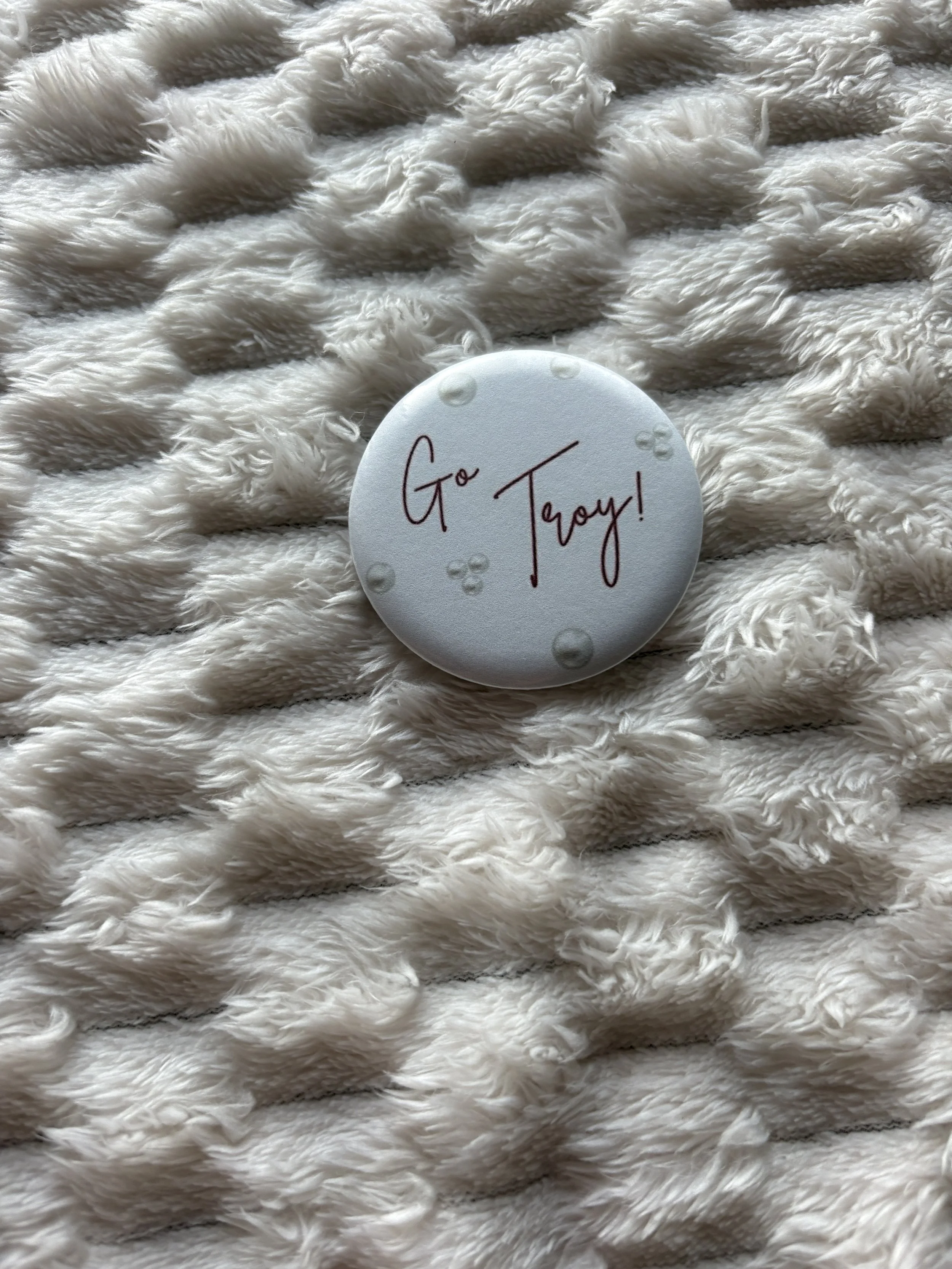 Go Troy button.JPG