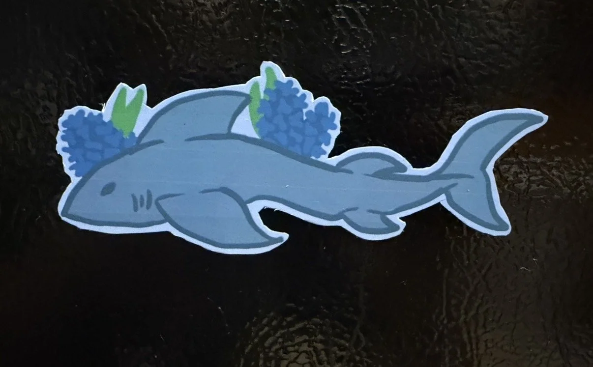 SharkMagnet.jpg