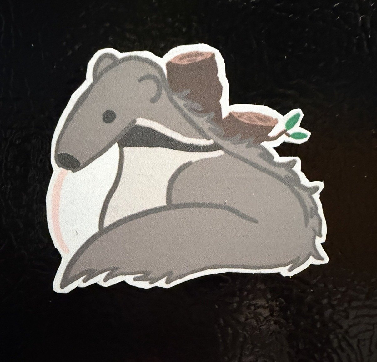 AnteaterMagnet.jpg