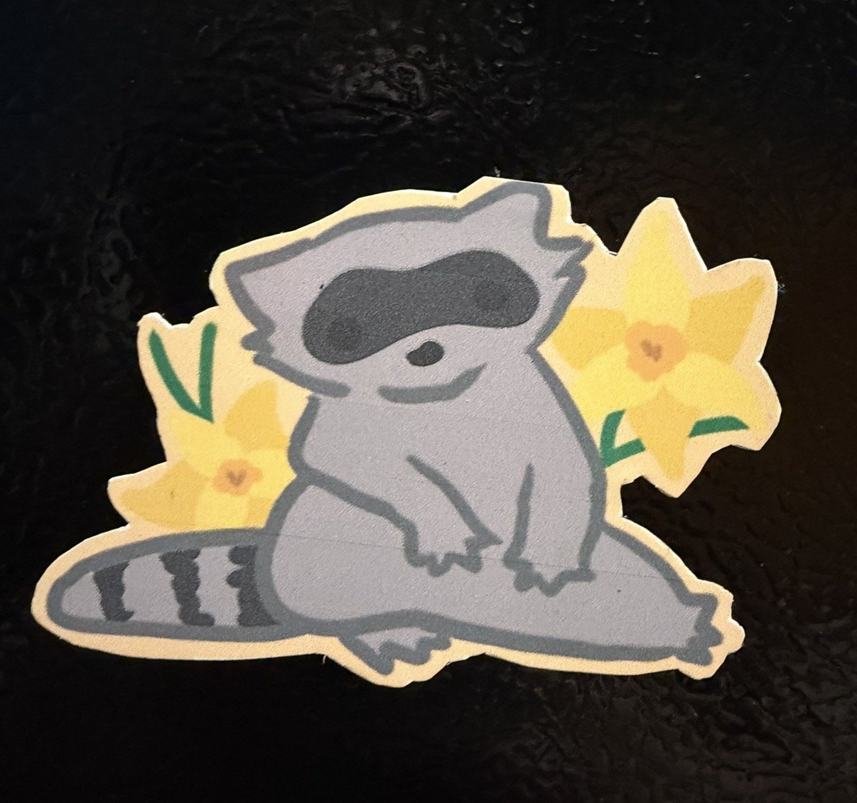 RaccoonMagnet.jpg